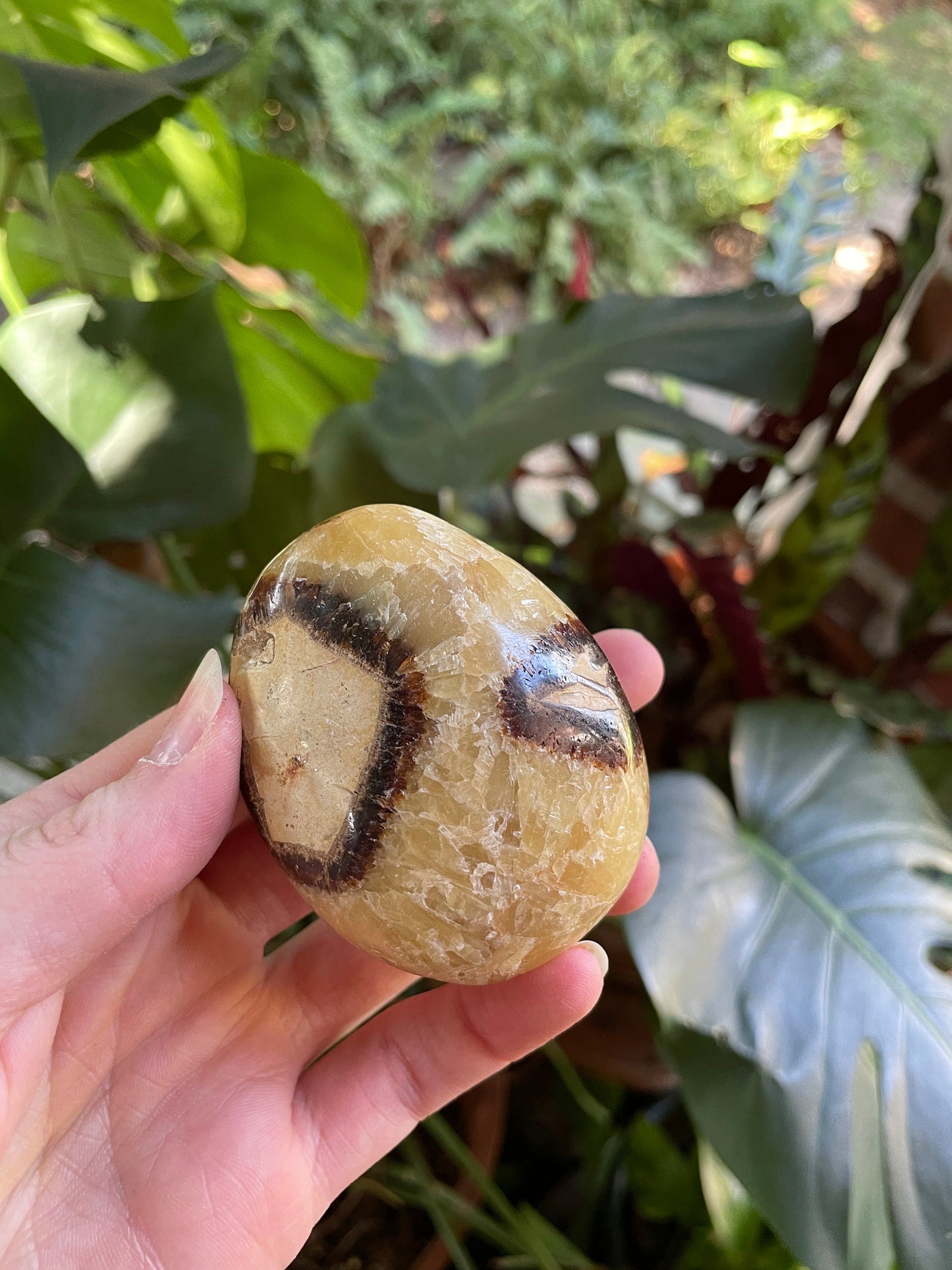 Lovely Septarian Calcite Palm Stone Madagascar 167.5g Specimen