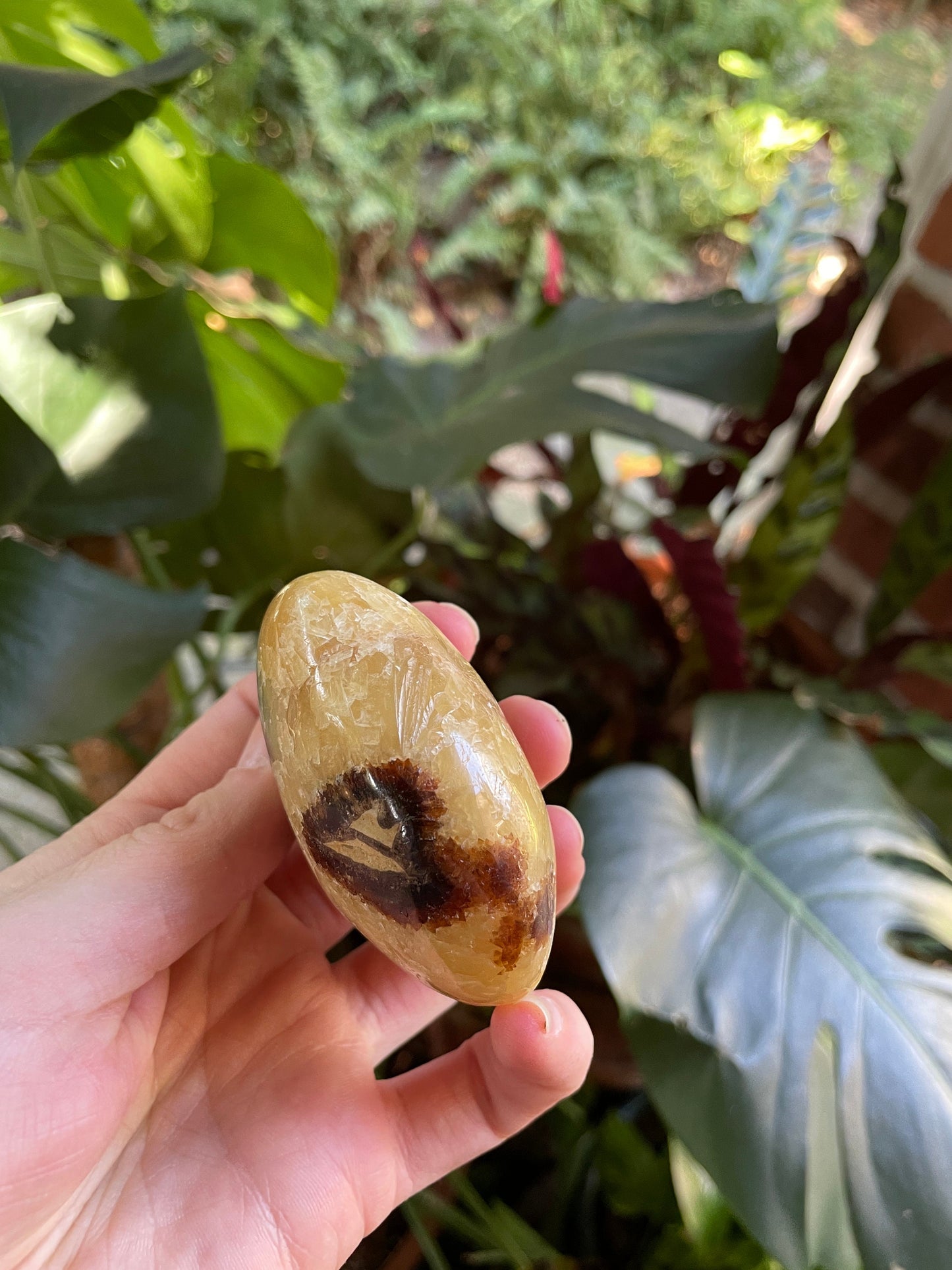 Lovely Septarian Calcite Palm Stone Madagascar 167.5g Specimen