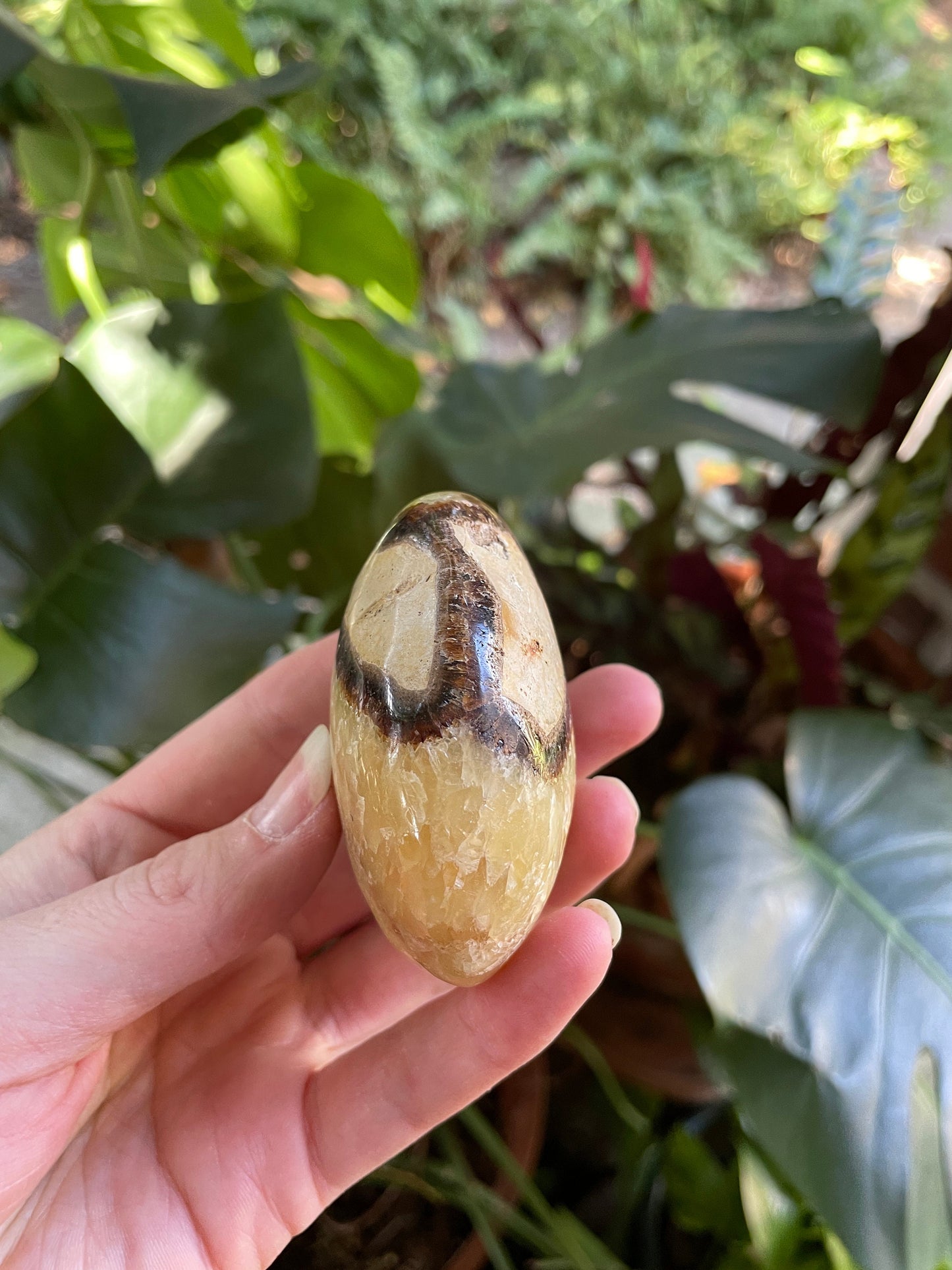 Lovely Septarian Calcite Palm Stone Madagascar 167.5g Specimen