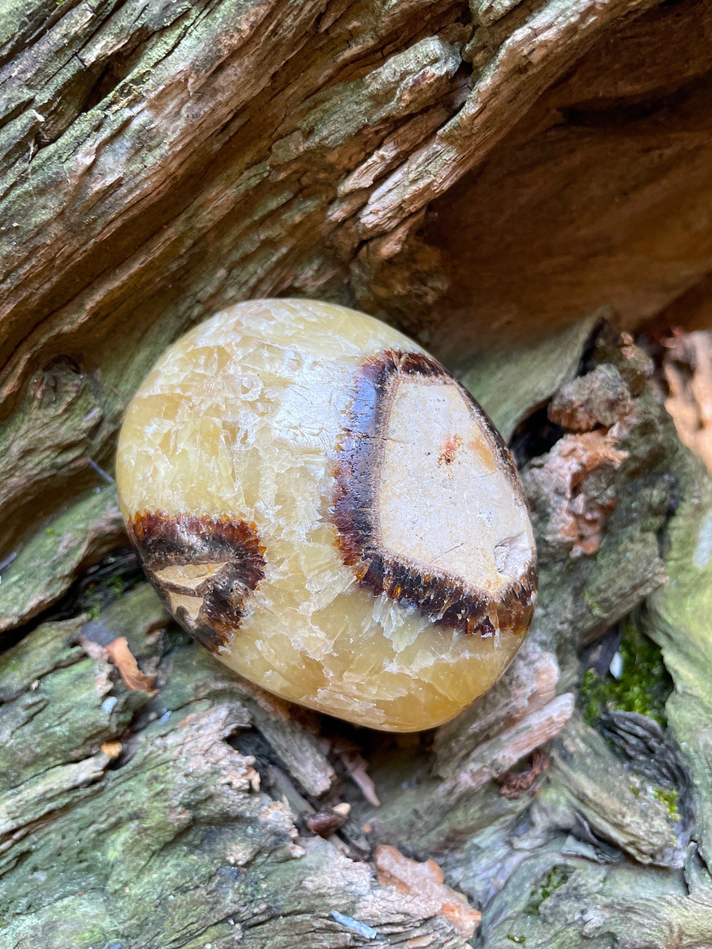 Lovely Septarian Calcite Palm Stone Madagascar 167.5g Specimen