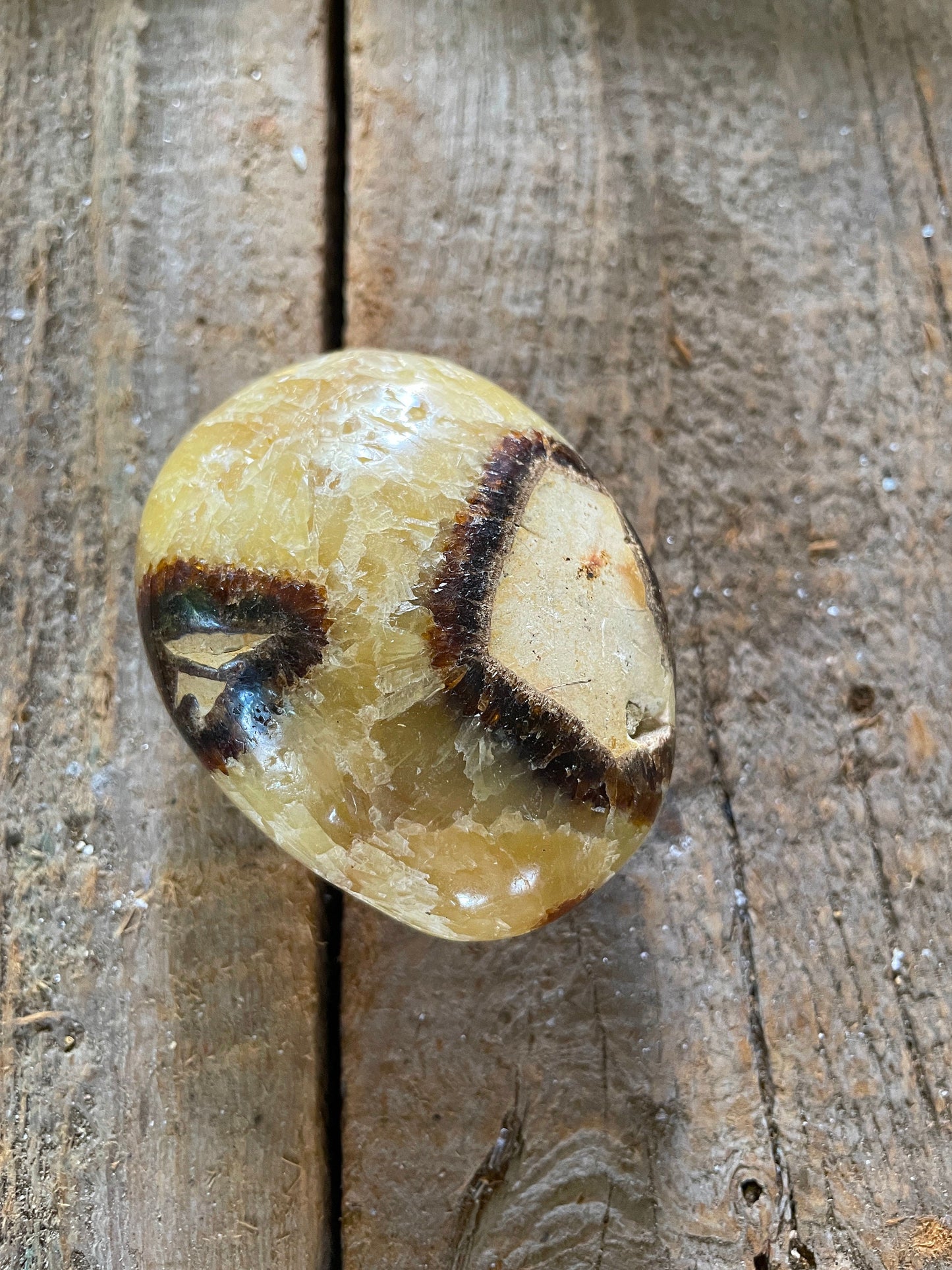 Lovely Septarian Calcite Palm Stone Madagascar 167.5g Specimen