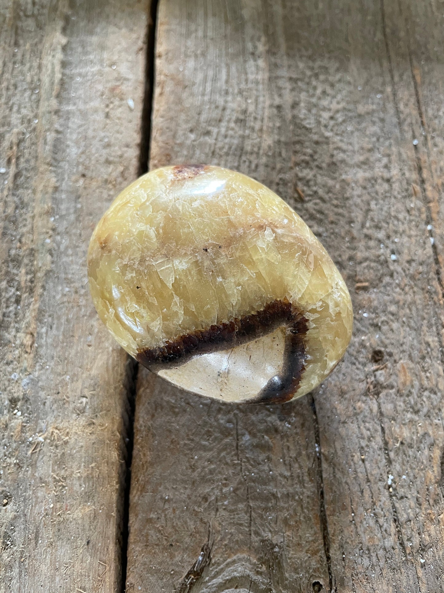 Lovely Septarian Calcite Palm Stone Madagascar 167.5g Specimen
