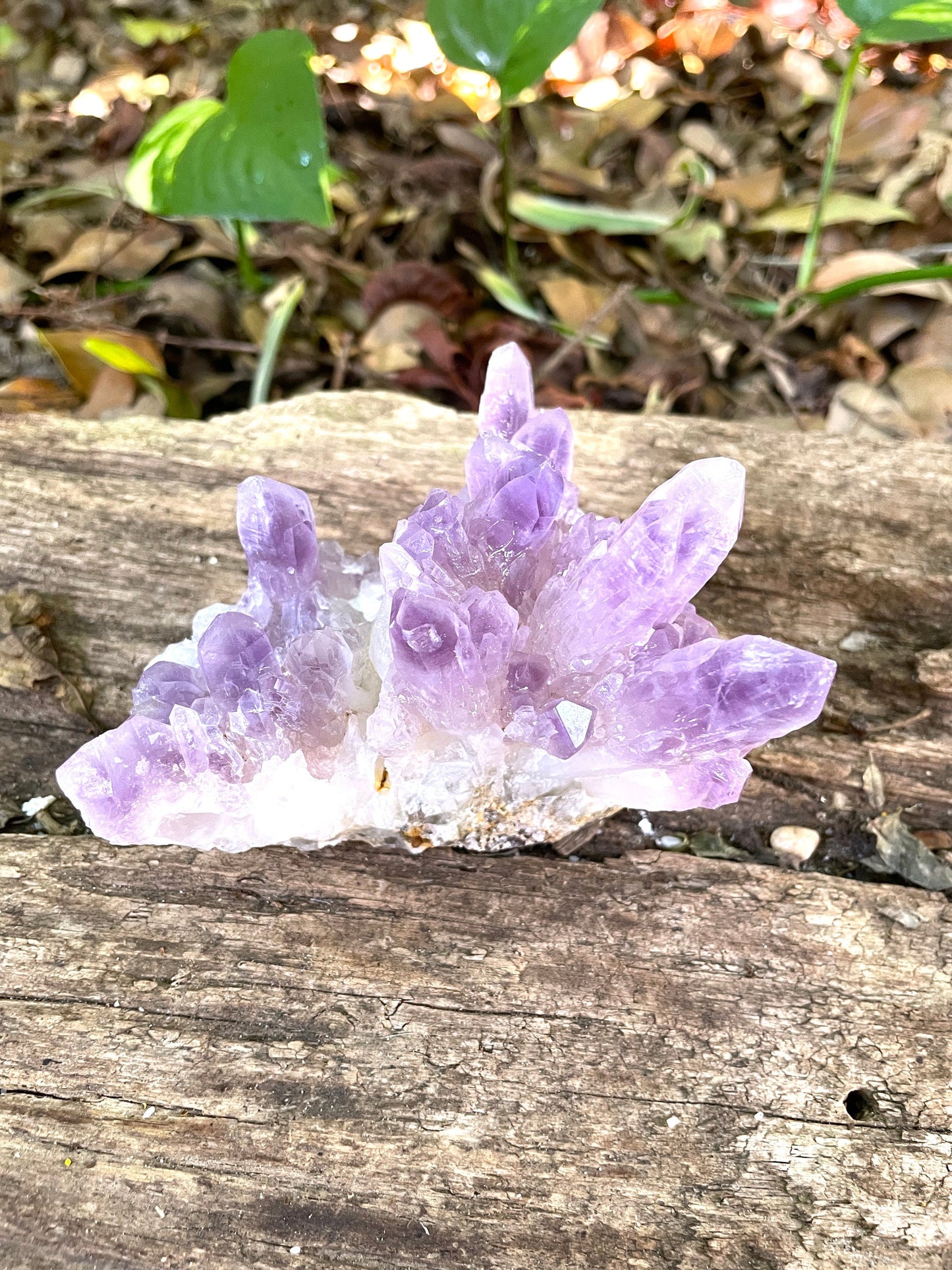 Beautiful Purple Amethyst Cluster Specimen 324g from Guerrero Mine, Taxco de Alcarcon Guerrero, Mexico