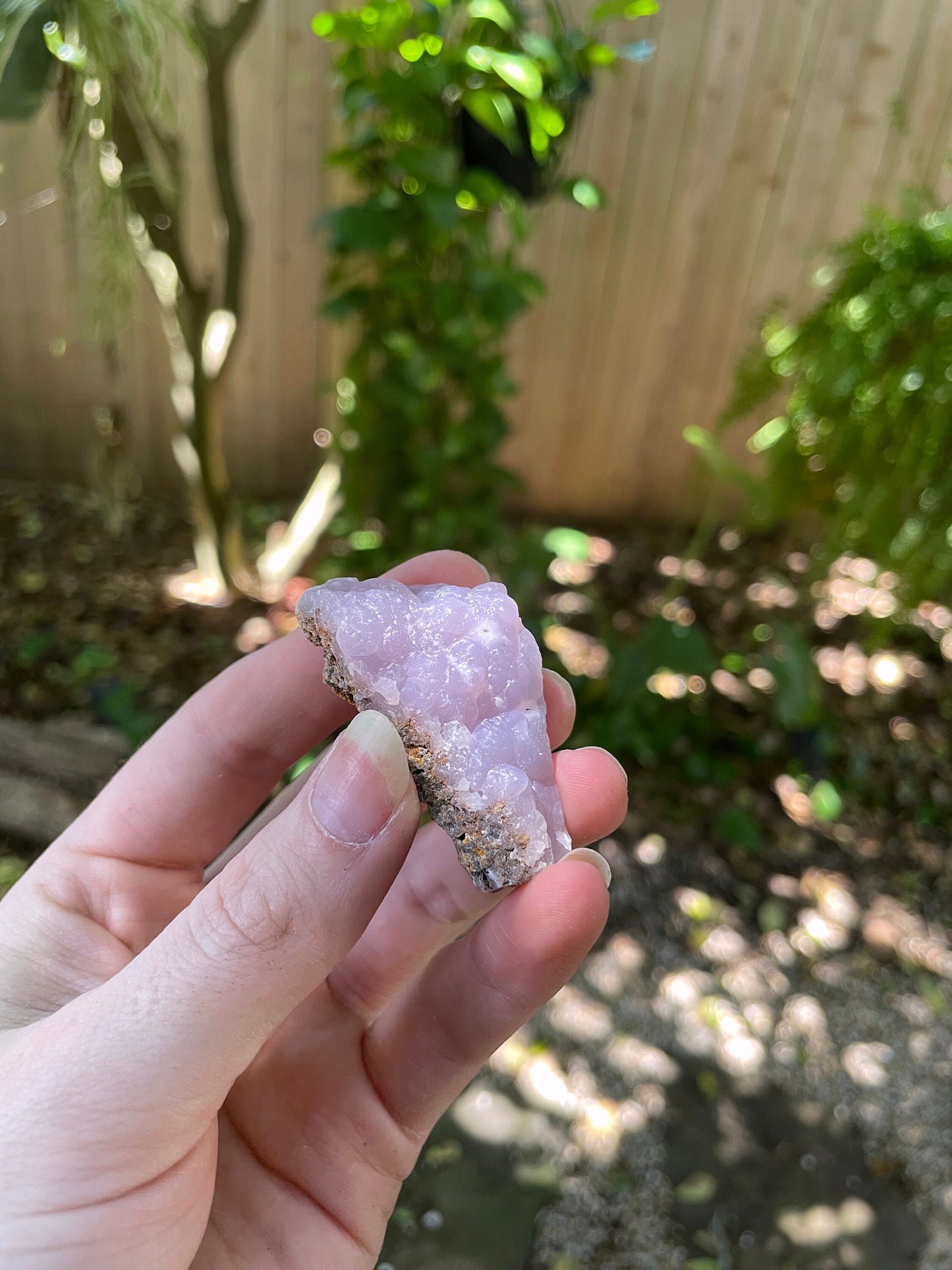 Rare Lavender Botryoidal Smithsonite Specimen 37.4g from Choix Sinaloa Mexico Mineral Crystal