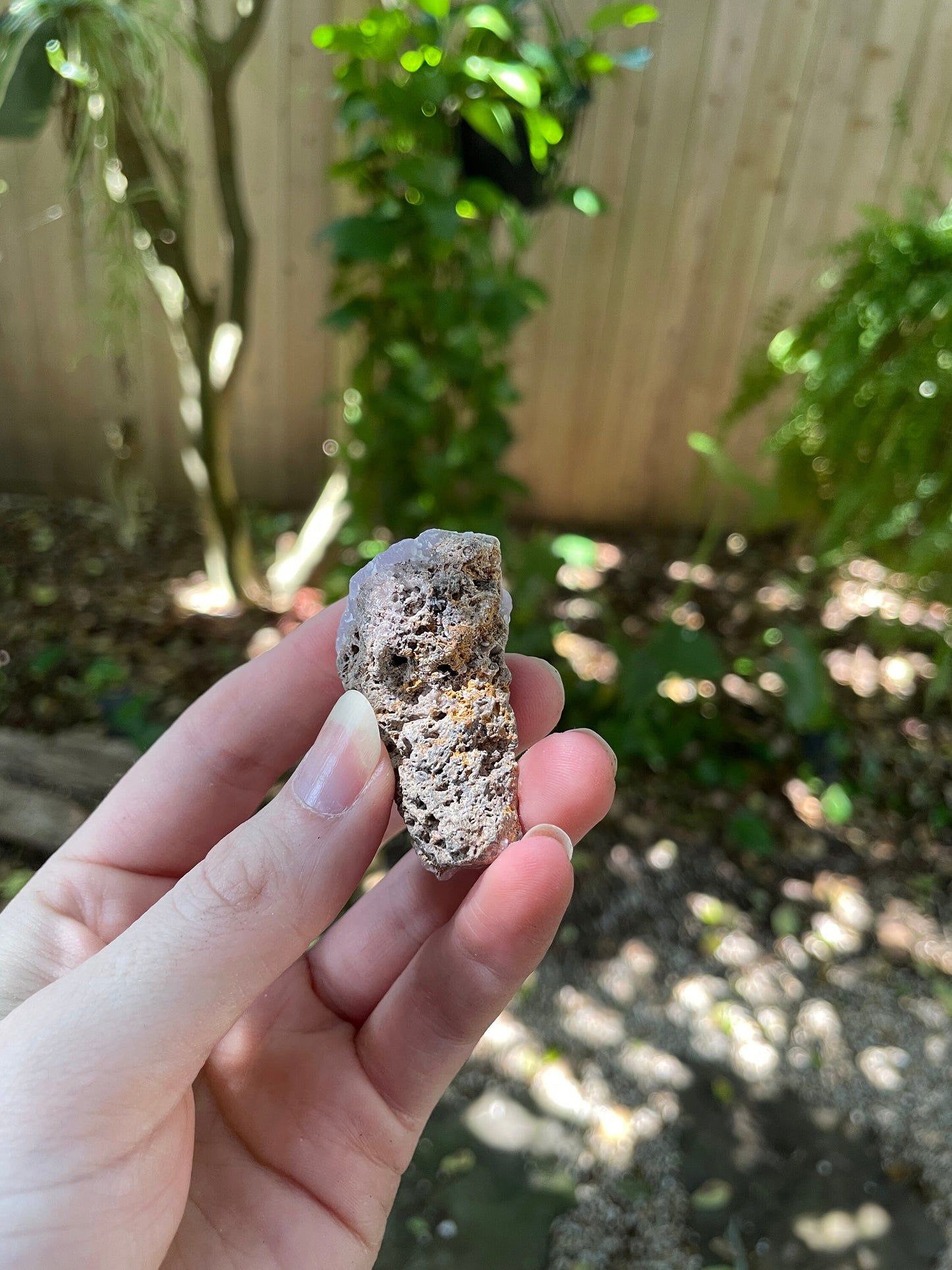 Rare Lavender Botryoidal Smithsonite Specimen 37.4g from Choix Sinaloa Mexico Mineral Crystal