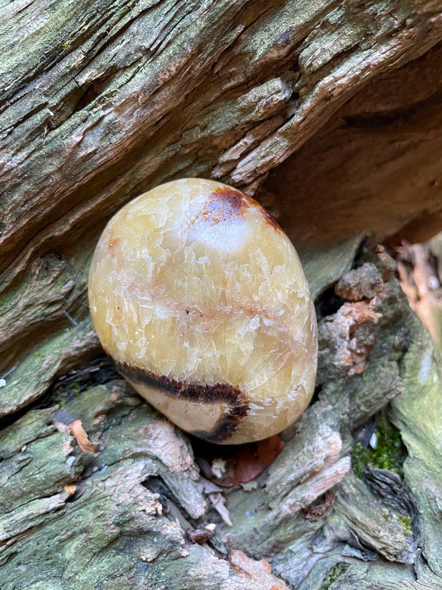 Lovely Septarian Calcite Palm Stone Madagascar 167.5g Specimen