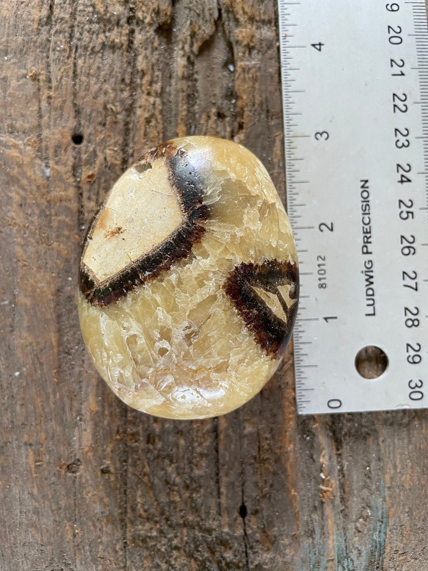 Lovely Septarian Calcite Palm Stone Madagascar 167.5g Specimen
