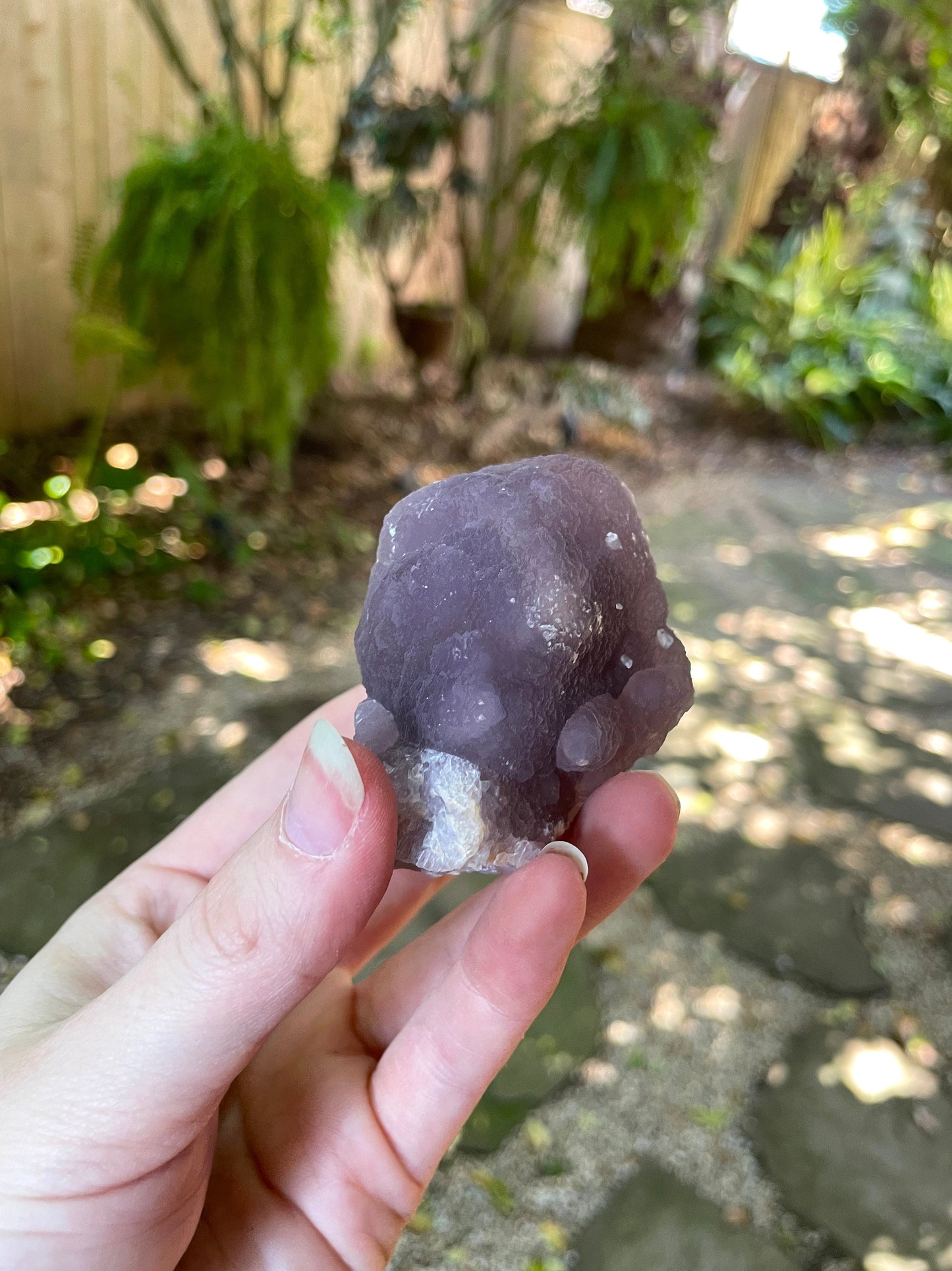 Boytrodital Purple Fluorite 198.6g Specimen from Rio Arriba Co. New Mexico Specimen Crystal Mineral
