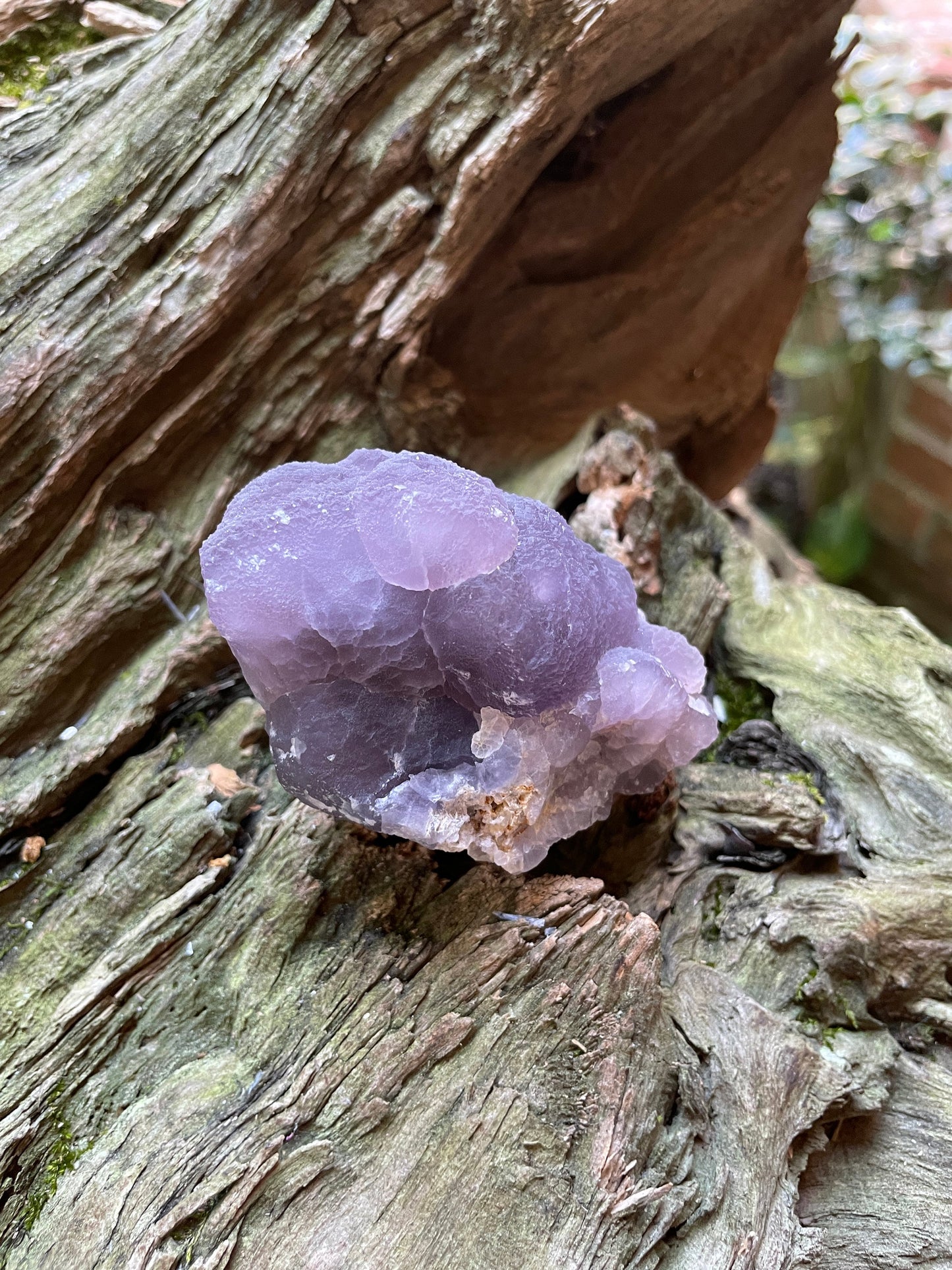 Boytrodital Purple Fluorite 198.6g Specimen from Rio Arriba Co. New Mexico Specimen Crystal Mineral