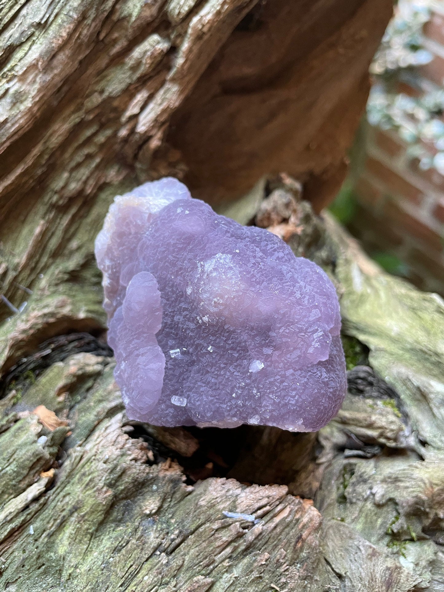 Boytrodital Purple Fluorite 198.6g Specimen from Rio Arriba Co. New Mexico Specimen Crystal Mineral