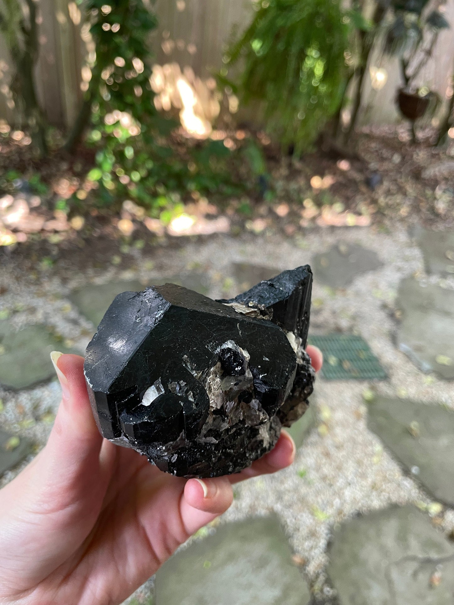 Black Tourmaline with Feldspar, Mica and Quartz From Brazil 642g 1lb 6.7oz Specimen Mineral Crystal