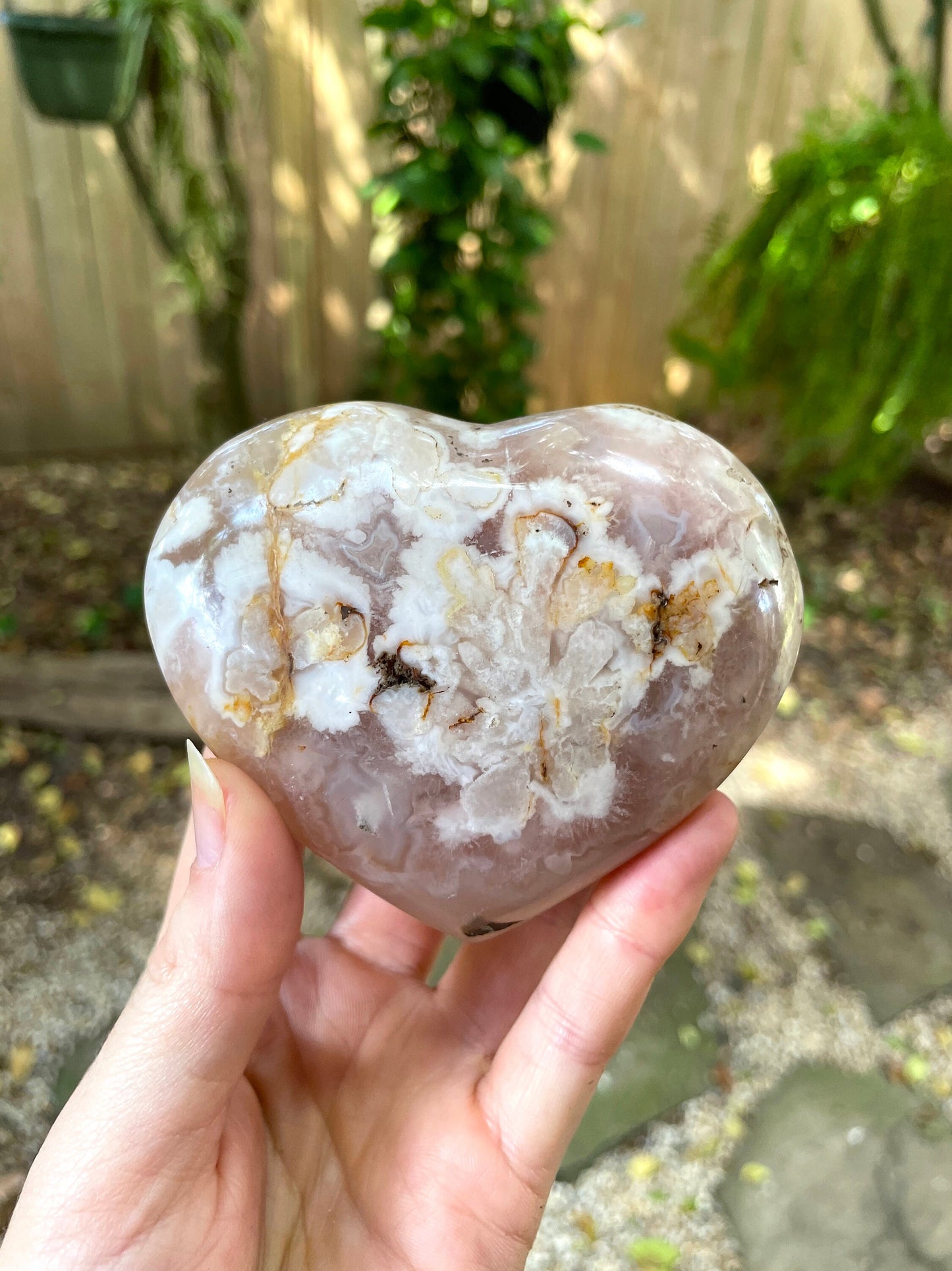 Flower Agate chalcedony Heart Stone Specimen 300g from Madagascar Mineral Crystal
