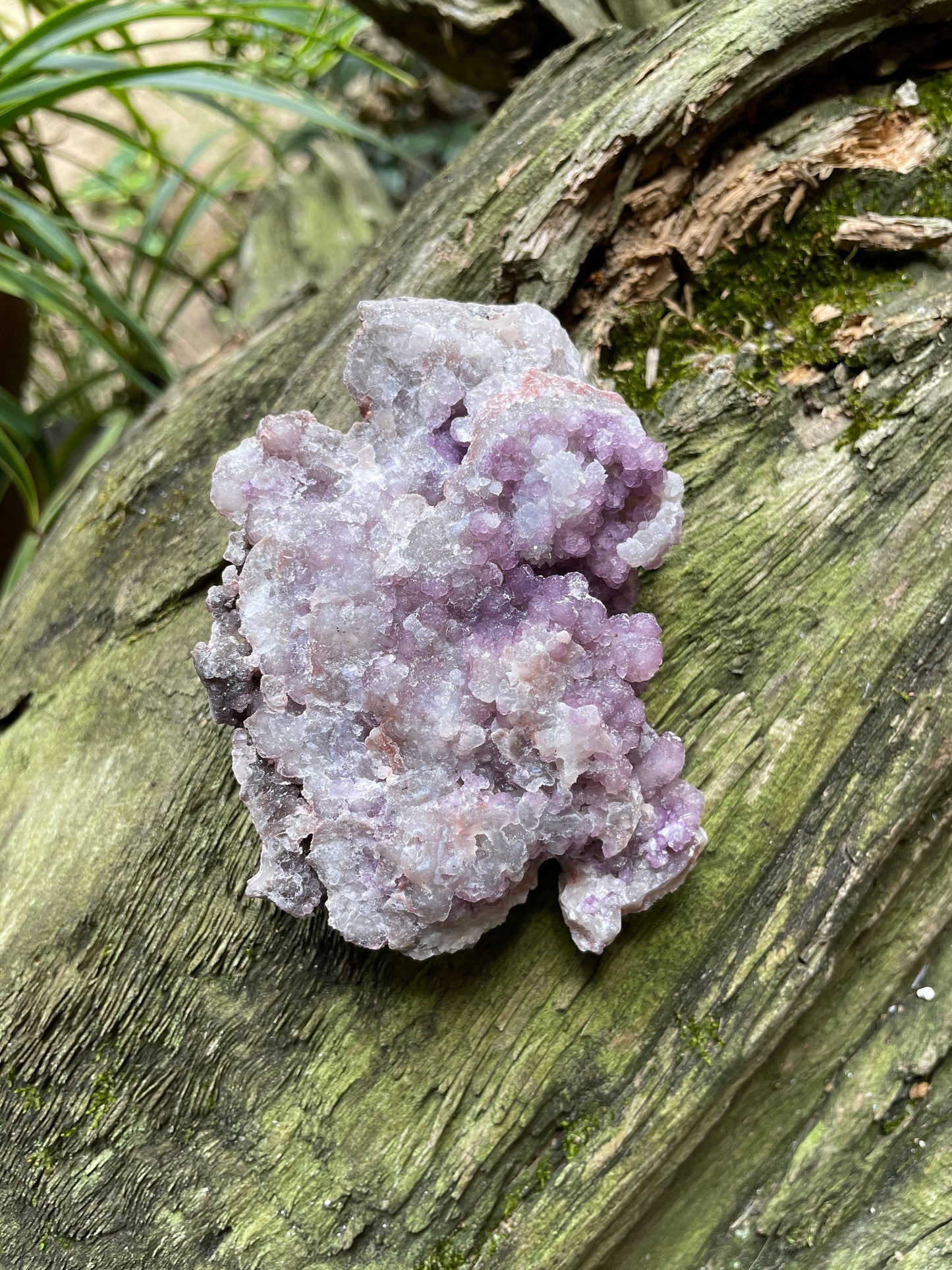 Purple Fluorite With Quartz Epimorphs 213g Second Chance Vein, Tombstone AZ Specimen Mineral Crystal