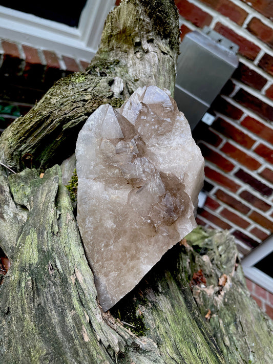 Smokey Elesital Quartz Specimen from Minas Gerais Brazil, 904g 1lb 11am and 5.9oz Mineral Crystal