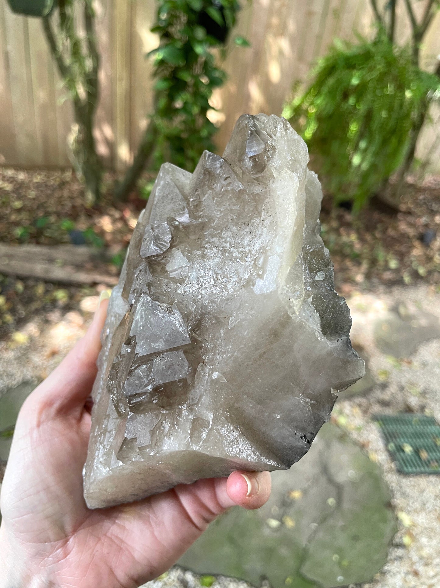 Smokey Elesital Quartz Specimen from Minas Gerais Brazil, 904g 1lb 11am and 5.9oz Mineral Crystal
