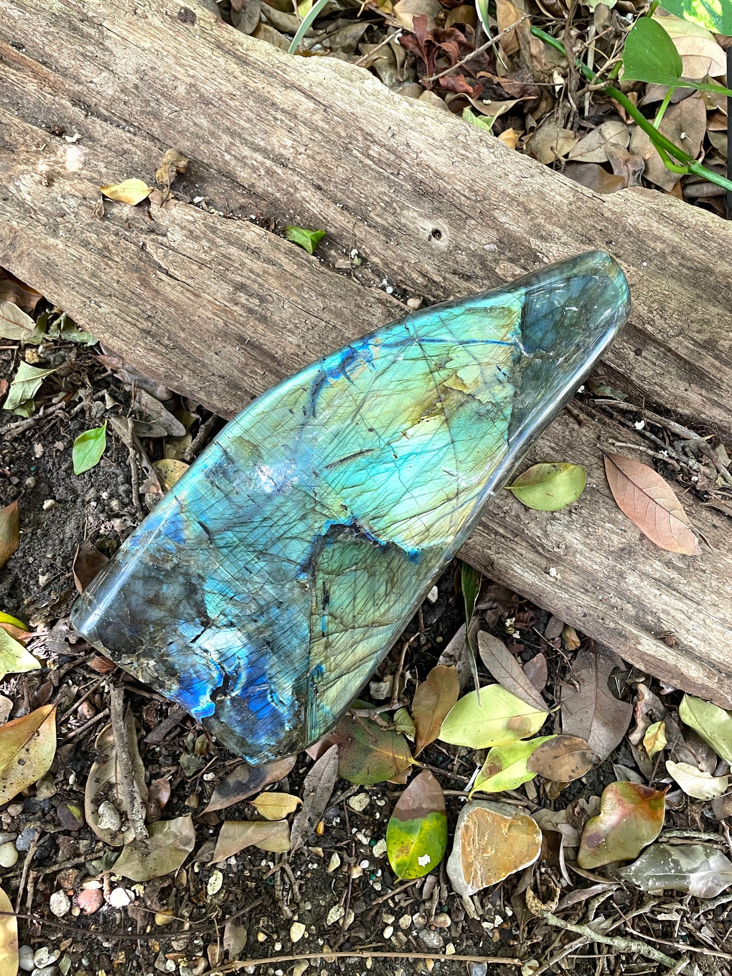 XL Polished Labradorite Freestanding Display Stone Great Flash Specimen 4.59Kg 10lbs 2oz Mineral Crystal