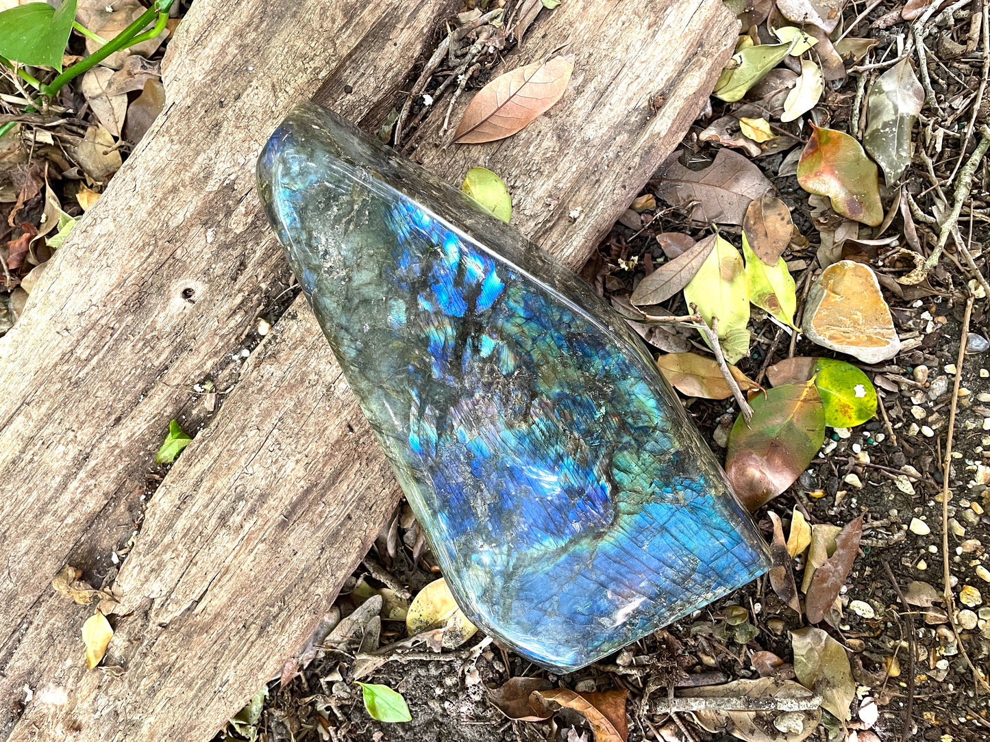 XL Polished Labradorite Freestanding Display Stone Great Flash Specimen 4.59Kg 10lbs 2oz Mineral Crystal