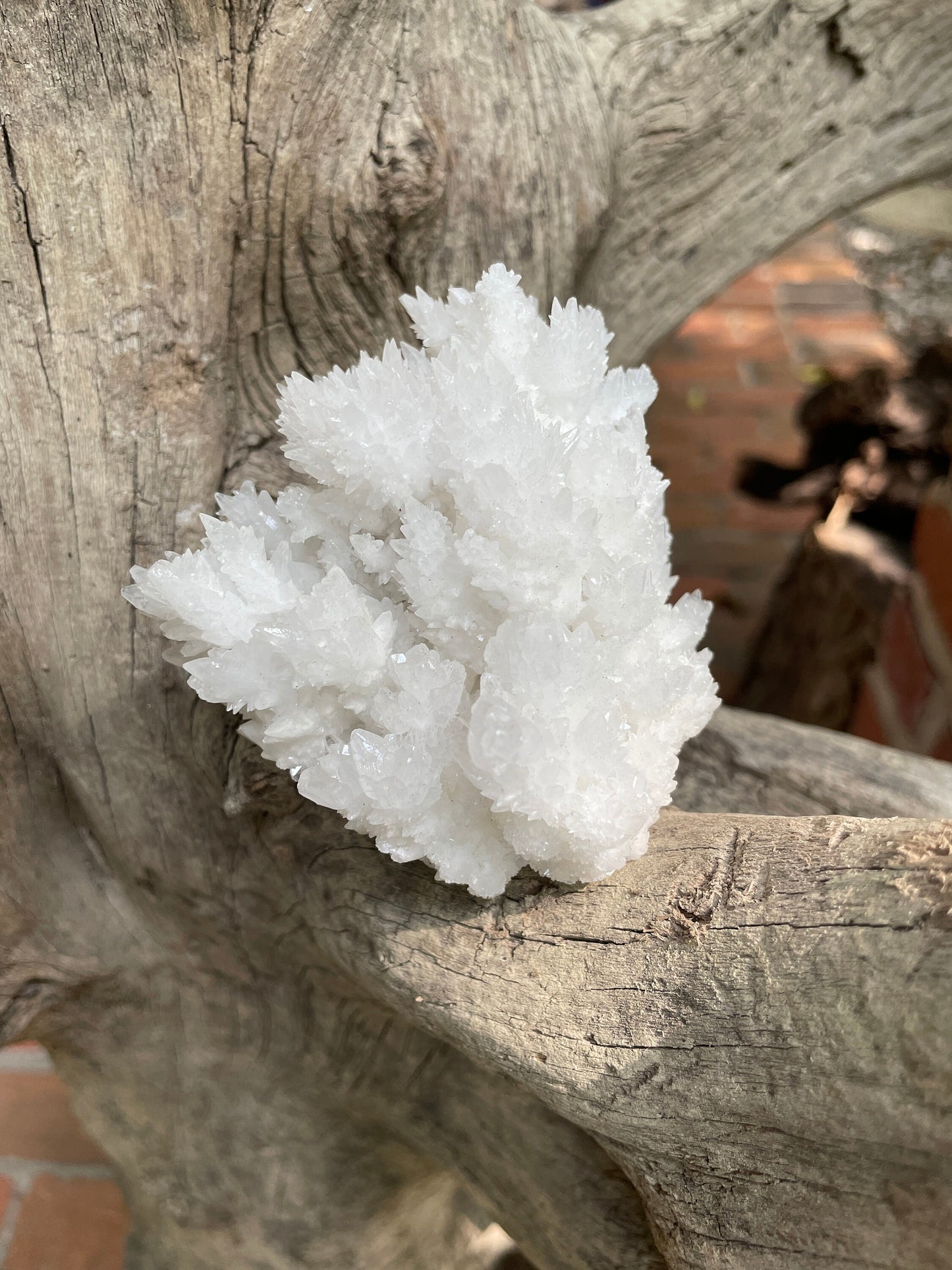 Aragonite Cave Calcite From Mexico 239.9g Specimen Crystals Minerals