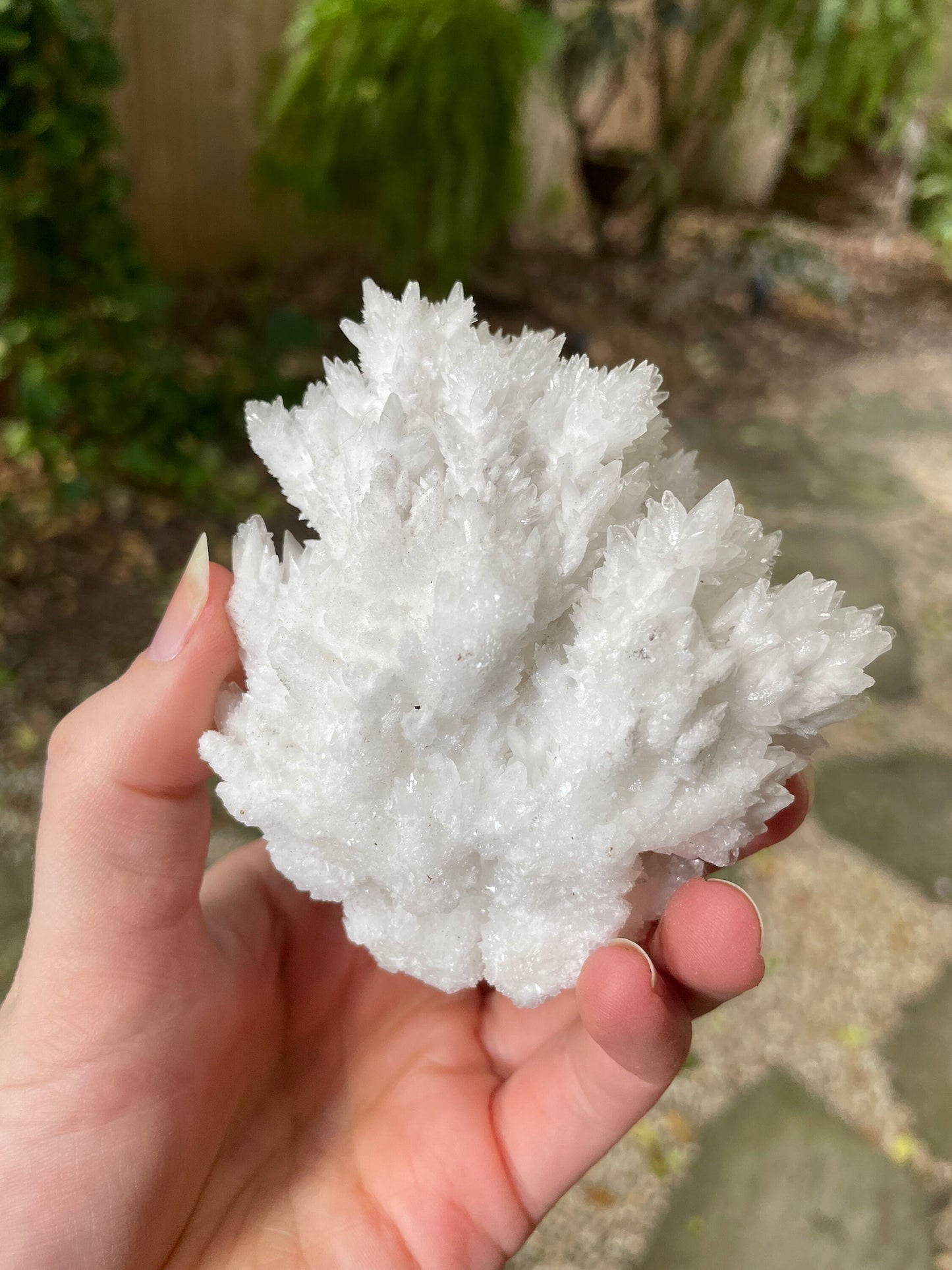 Aragonite Cave Calcite From Mexico 239.9g Specimen Crystals Minerals