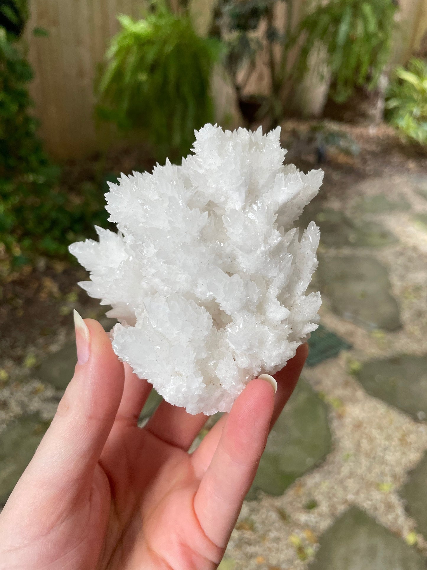 Aragonite Cave Calcite From Mexico 239.9g Specimen Crystals Minerals