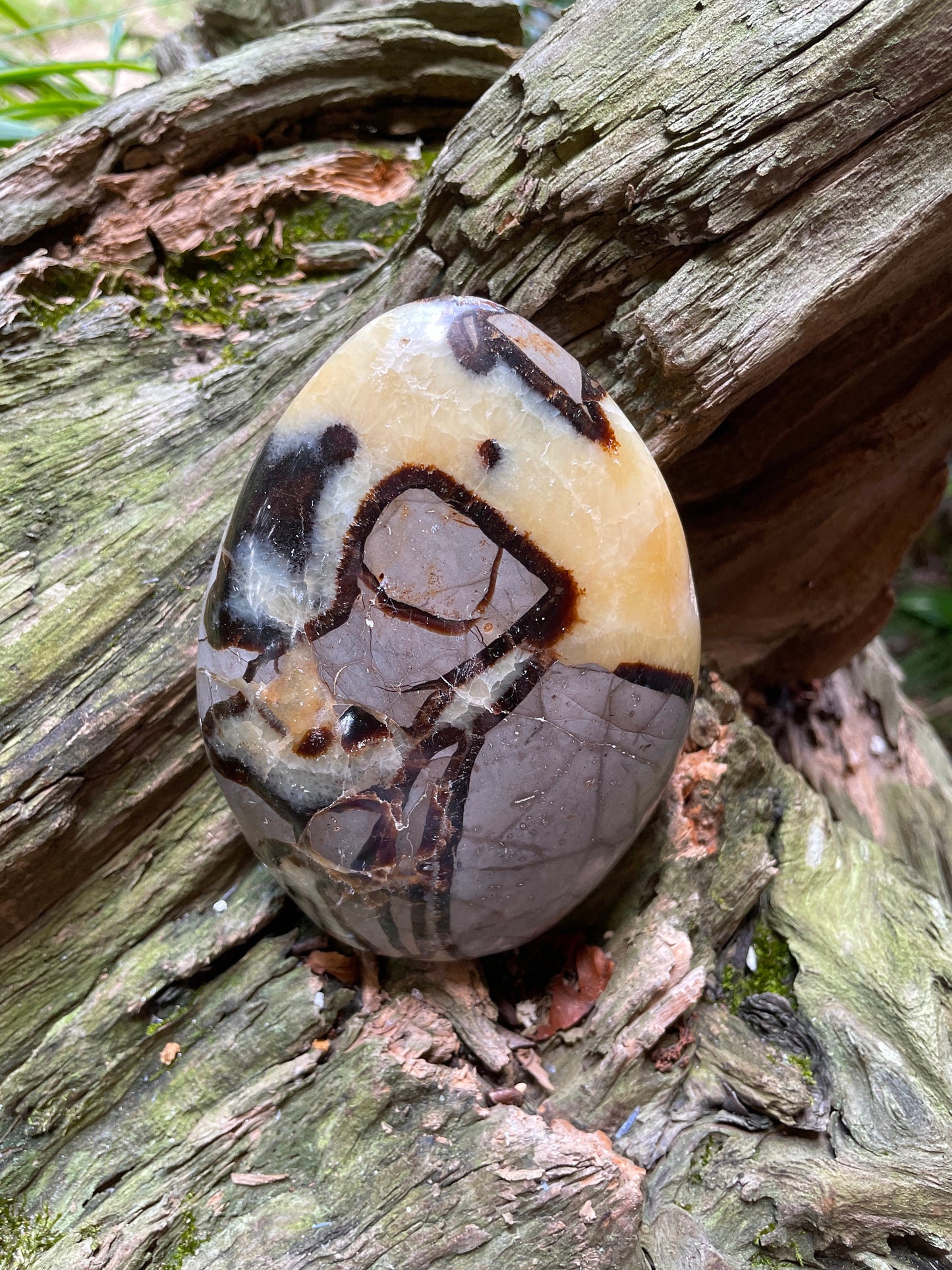 Polished Septarian Calcite Free Form Madagascar 665g Specimen Mineral Crystal
