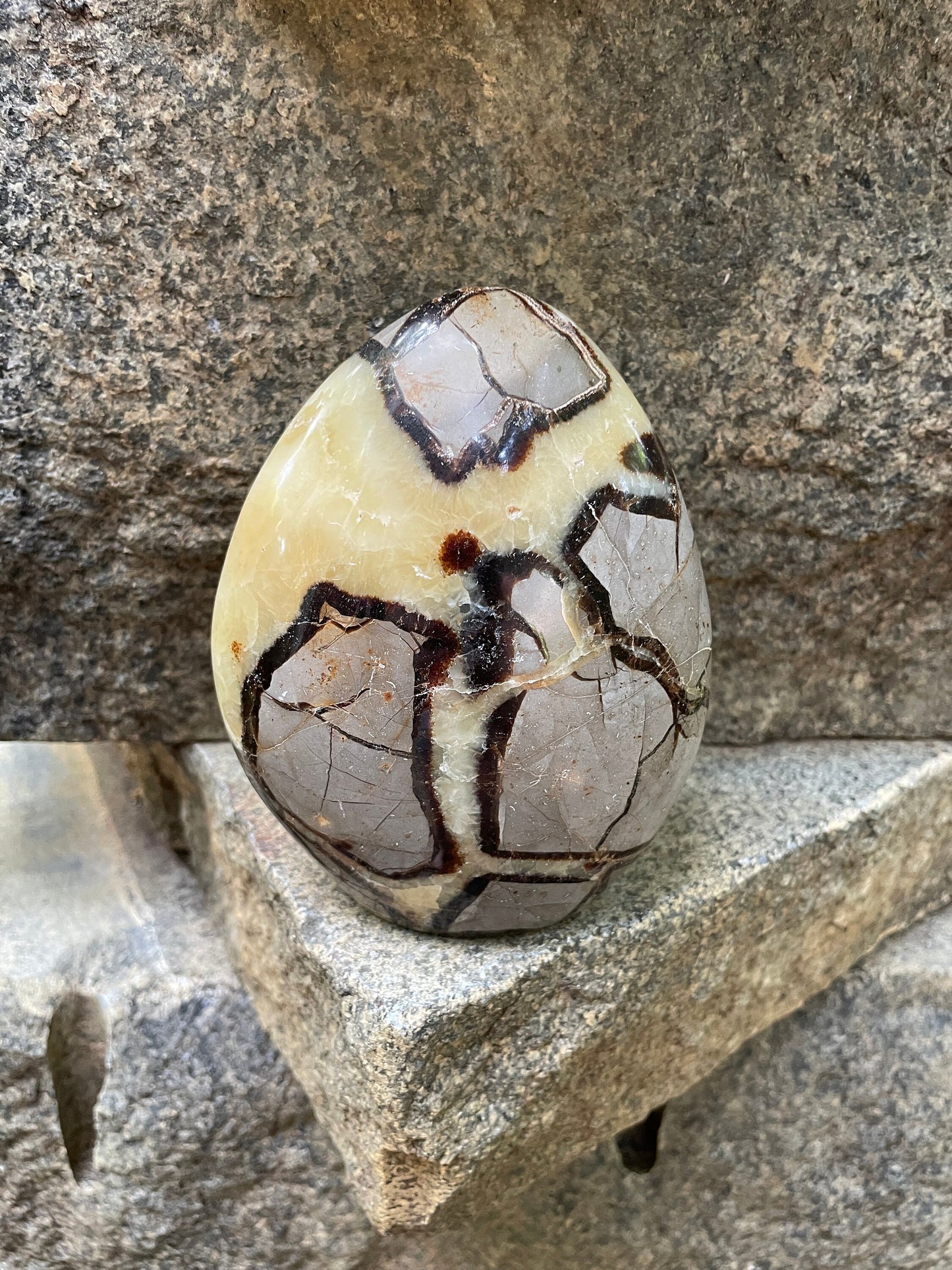 Polished Septarian Calcite Free Form Madagascar 665g Specimen Mineral Crystal