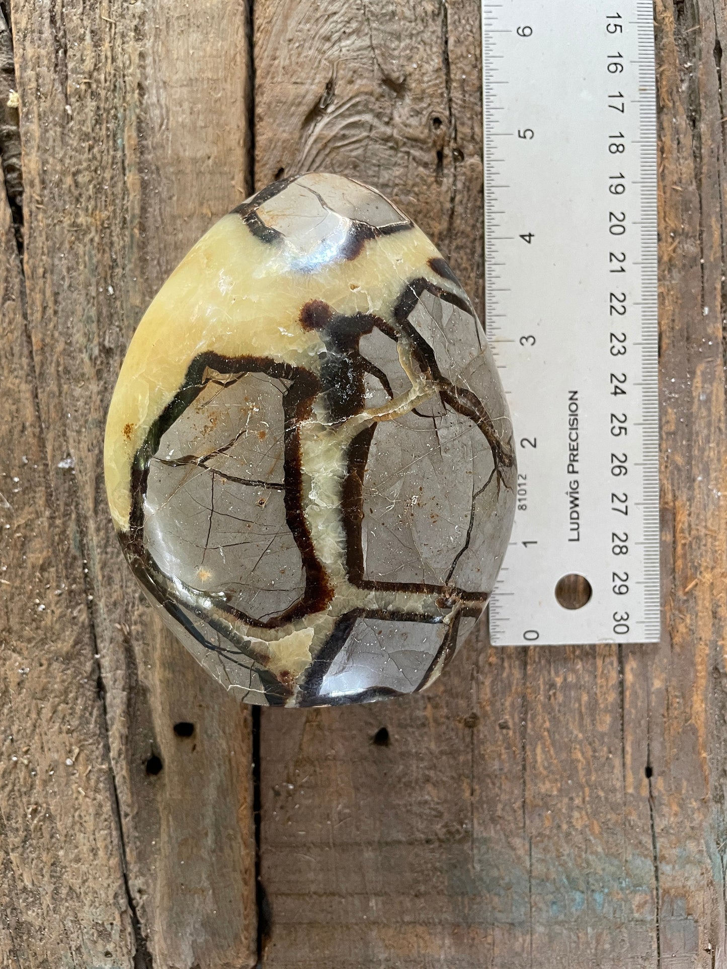 Polished Septarian Calcite Free Form Madagascar 665g Specimen Mineral Crystal