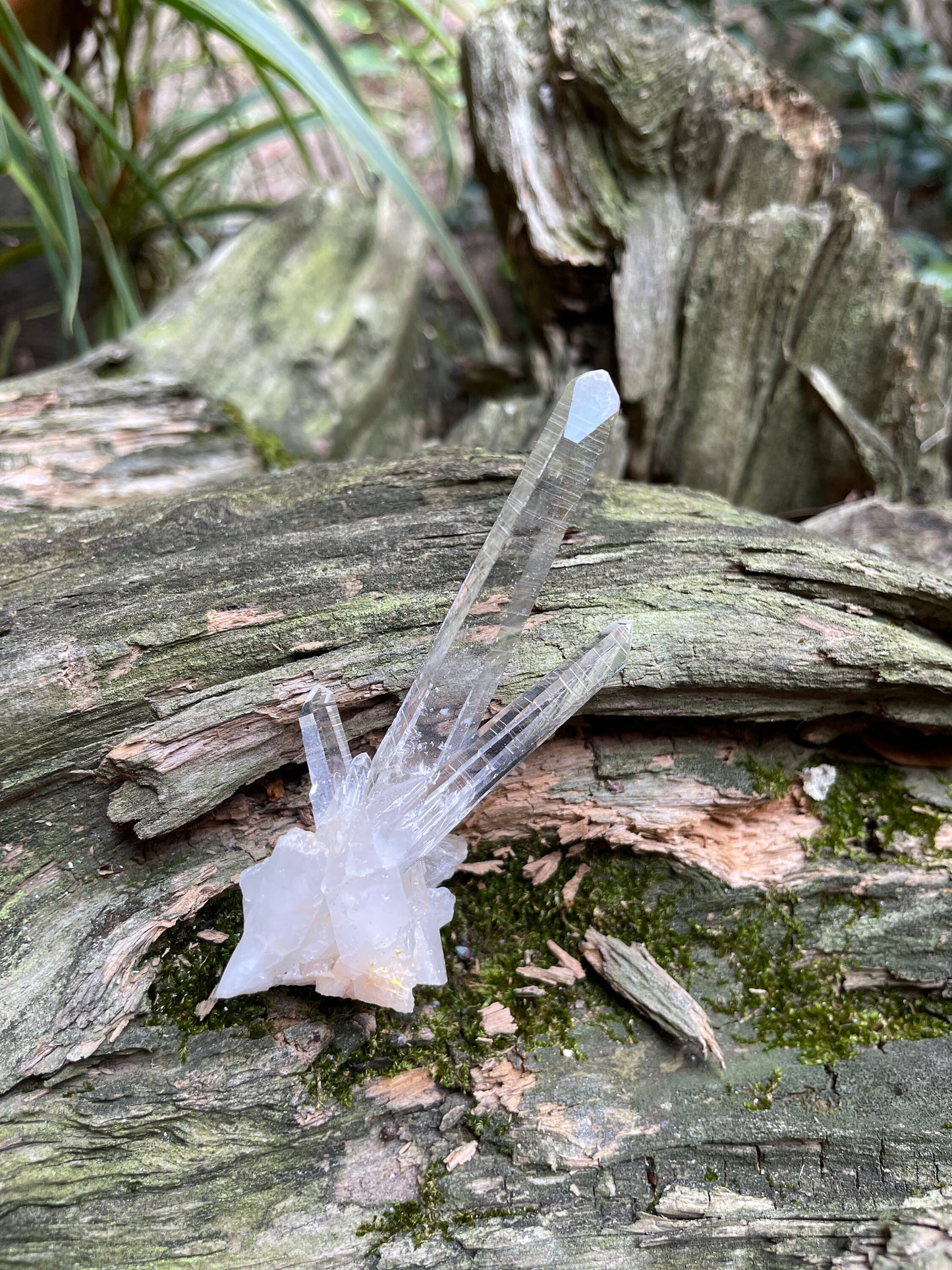 Columbian Lemurian Optical Quartz Cluster Specimen 27.1g Mineral Crystal