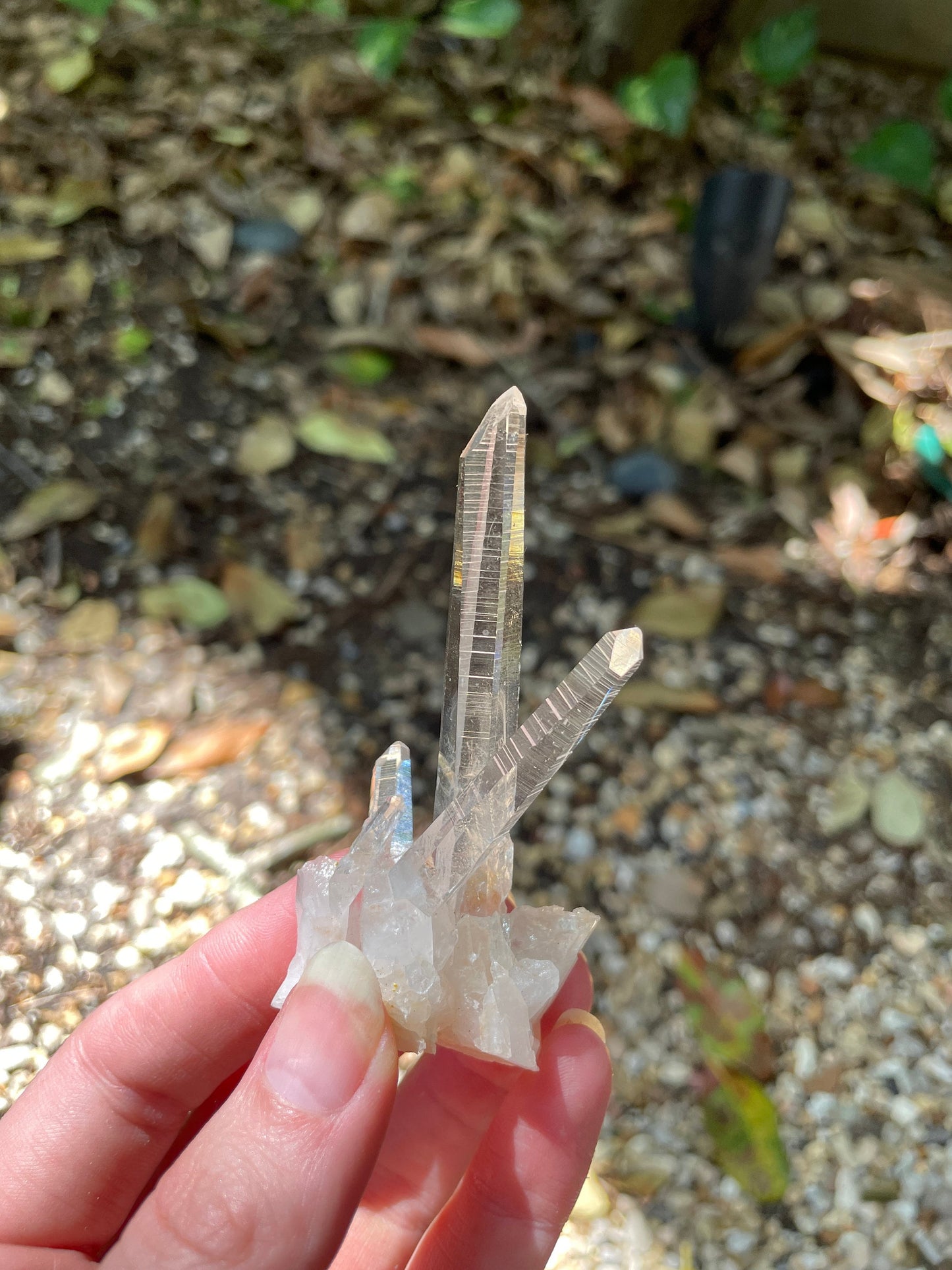Columbian Lemurian Optical Quartz Cluster Specimen 27.1g Mineral Crystal