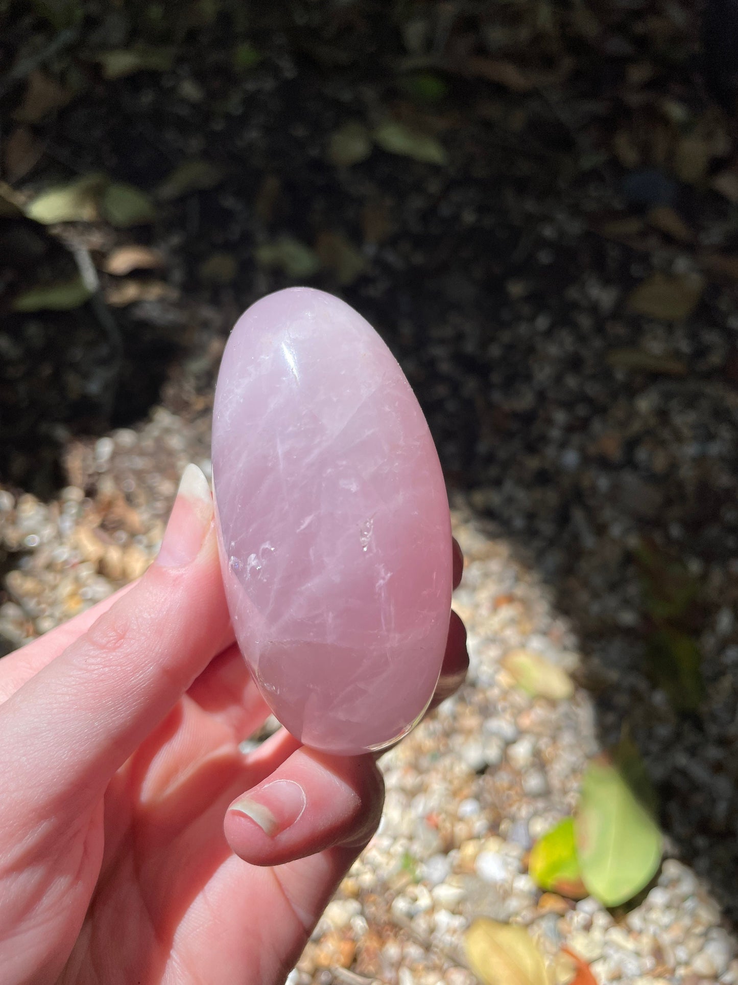 Polished Rose Quartz Palm Stone From Madagascar 168.1g Specimen Mineral Crystal