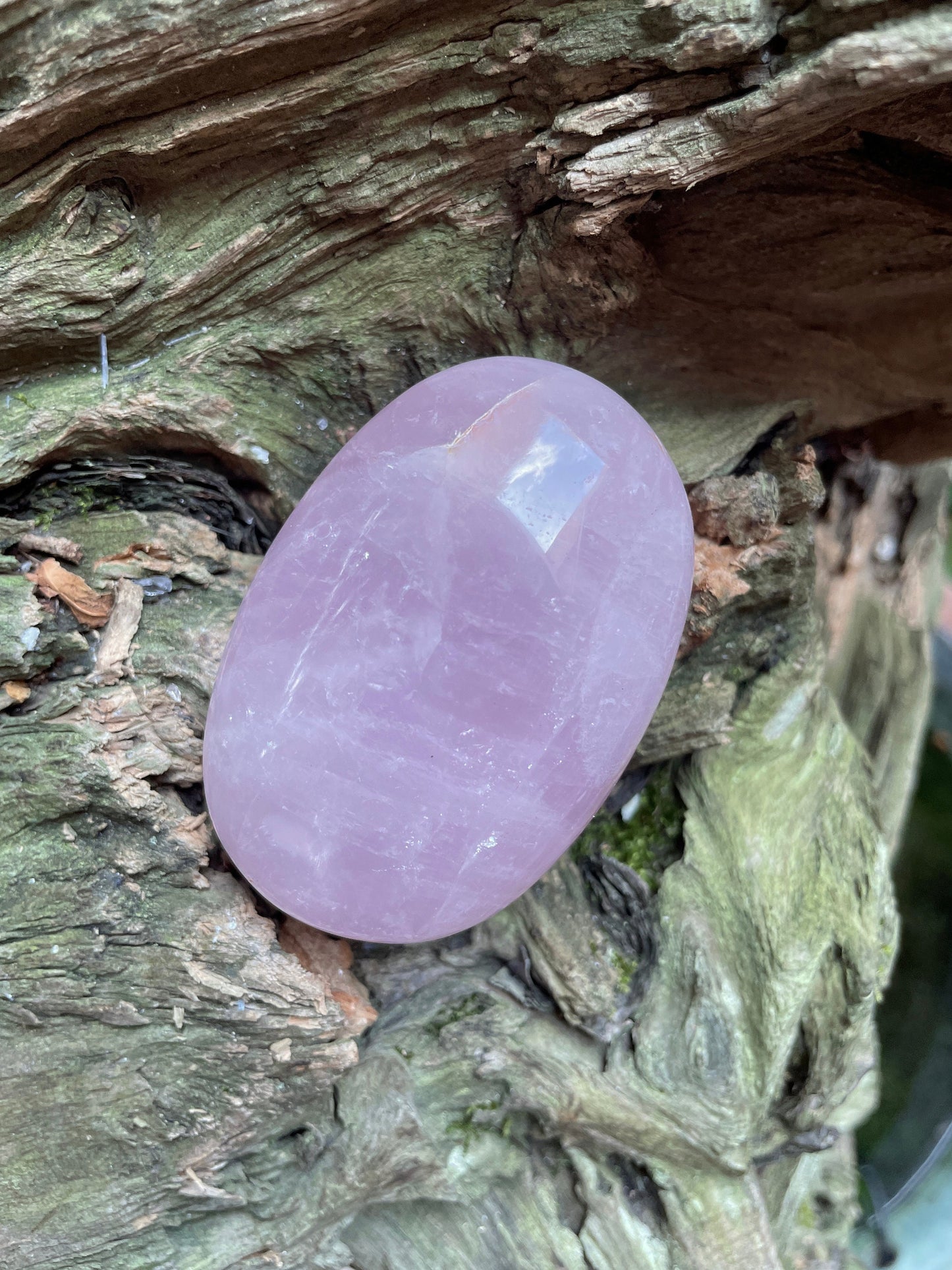 Polished Rose Quartz Palm Stone From Madagascar 168.1g Specimen Mineral Crystal
