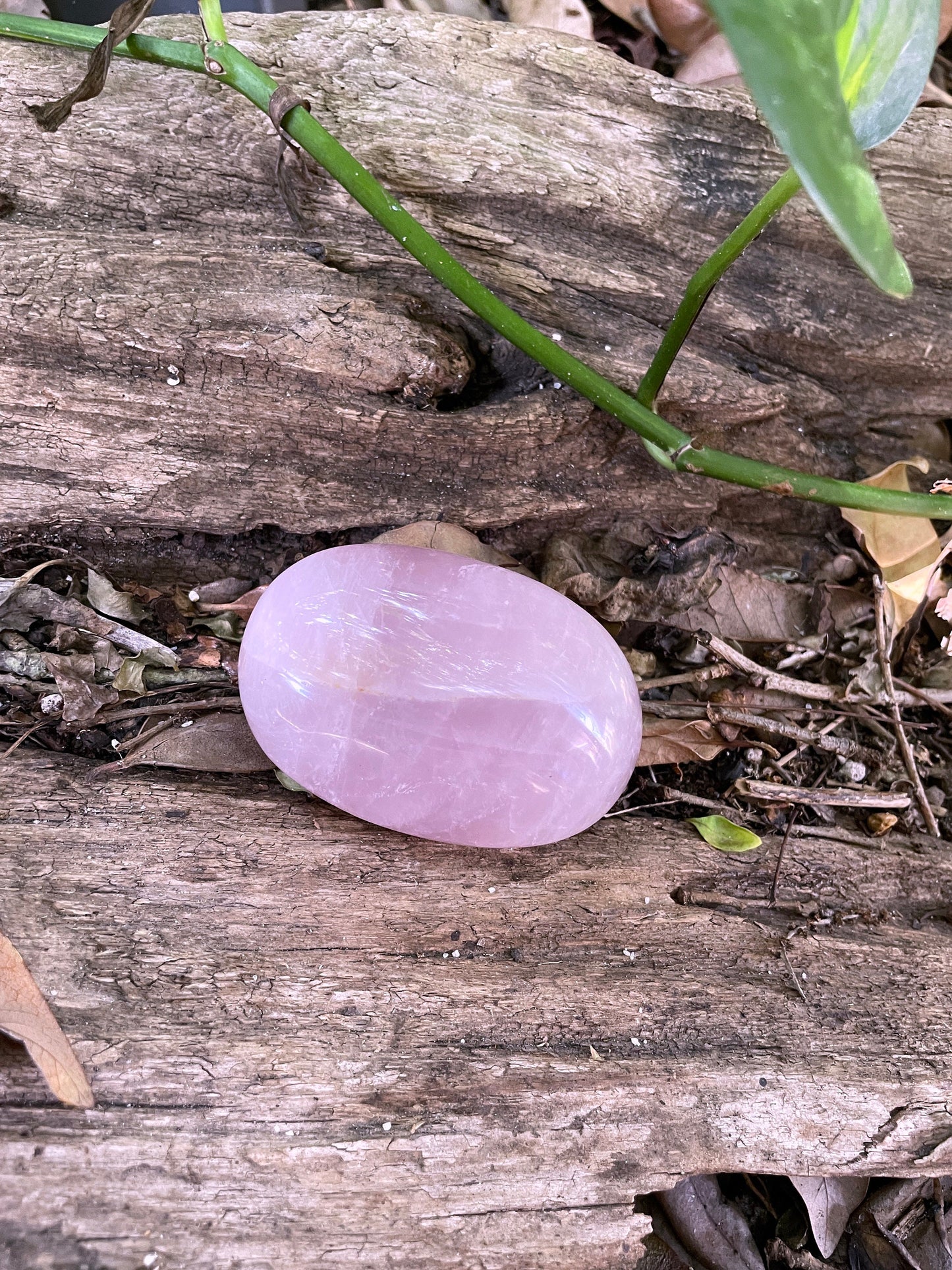 Polished Rose Quartz Palm Stone From Madagascar 168.1g Specimen Mineral Crystal