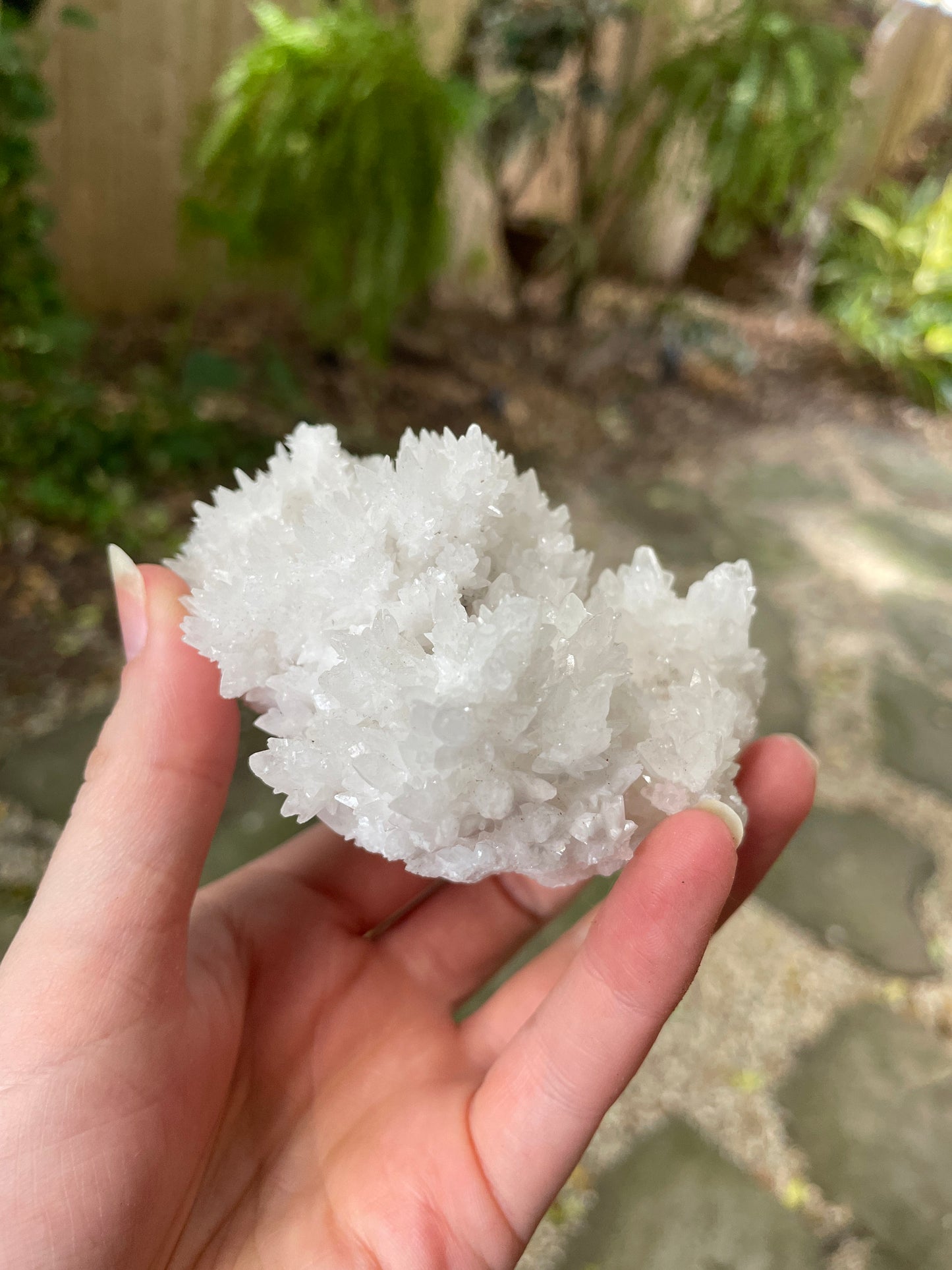 Aragonite Cave Calcite From Mexico 239.9g Specimen Crystals Minerals