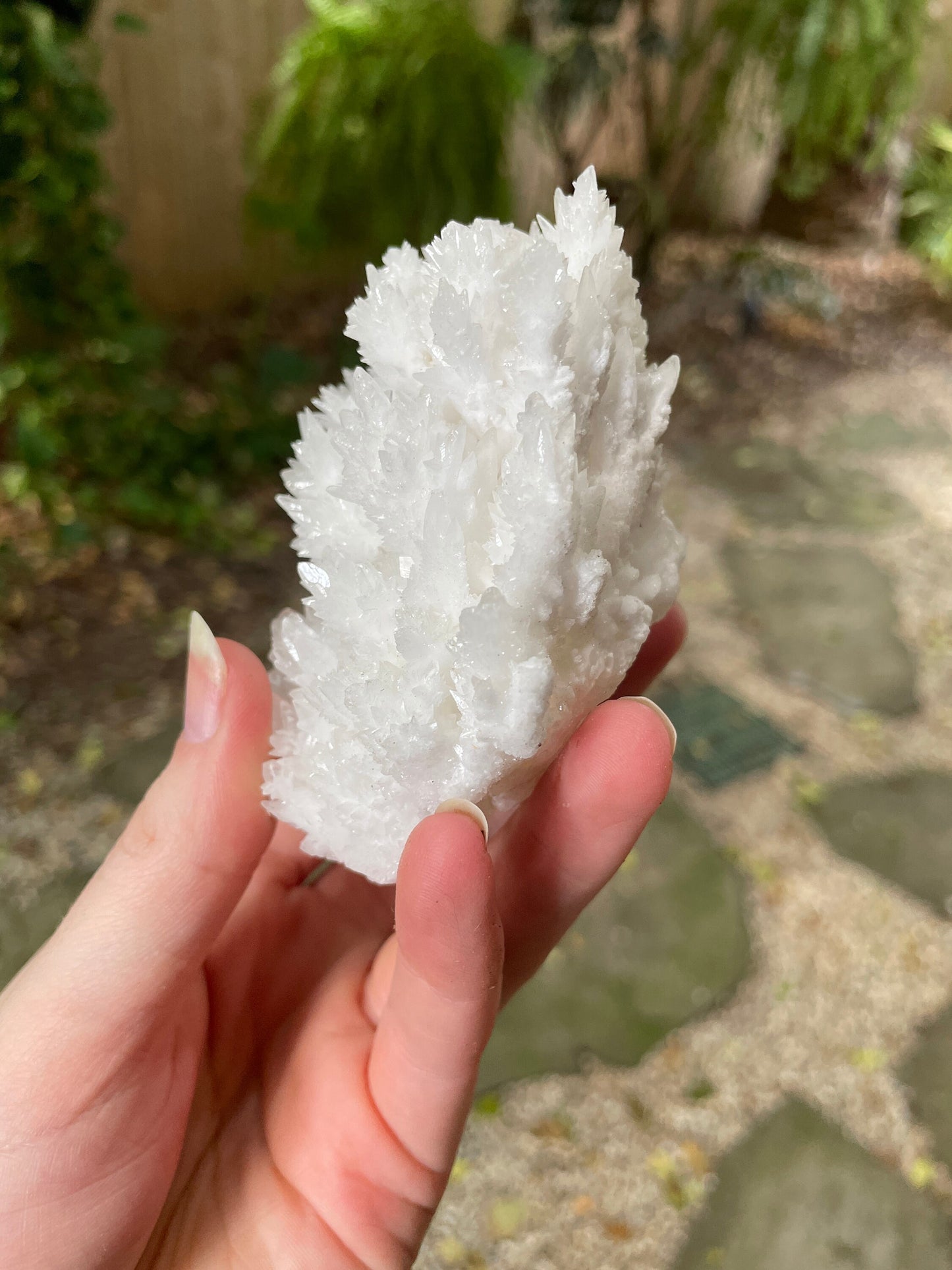 Aragonite Cave Calcite From Mexico 239.9g Specimen Crystals Minerals