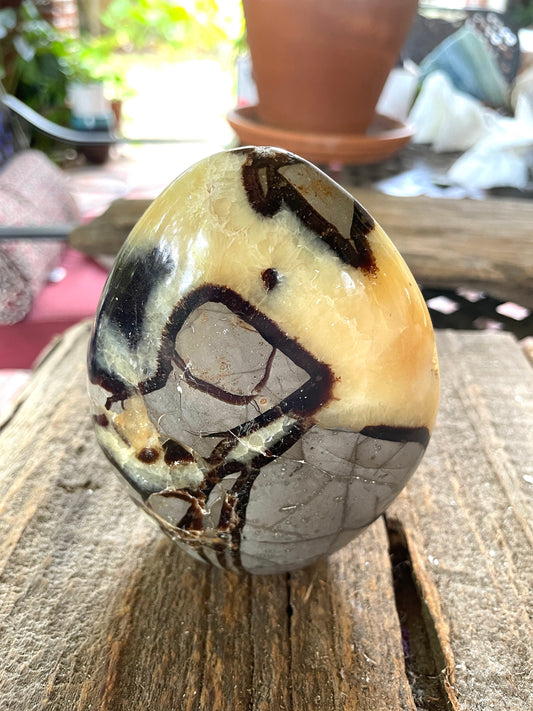 Polished Septarian Calcite Free Form Madagascar 665g Specimen Mineral Crystal