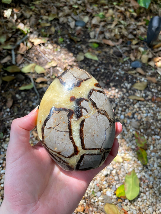 Polished Septarian Calcite Free Form Madagascar 665g Specimen Mineral Crystal