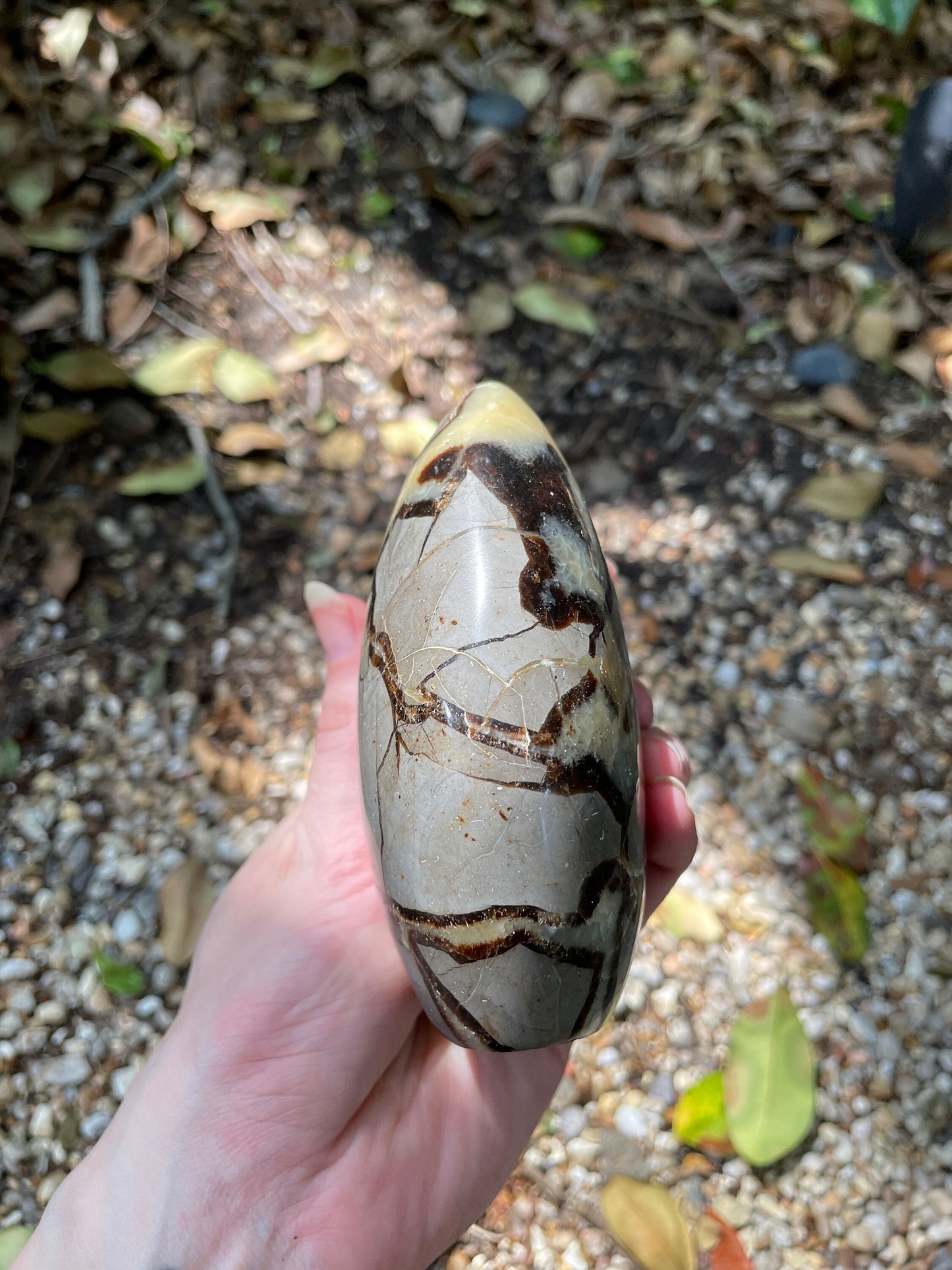 Polished Septarian Calcite Free Form Madagascar 665g Specimen Mineral Crystal