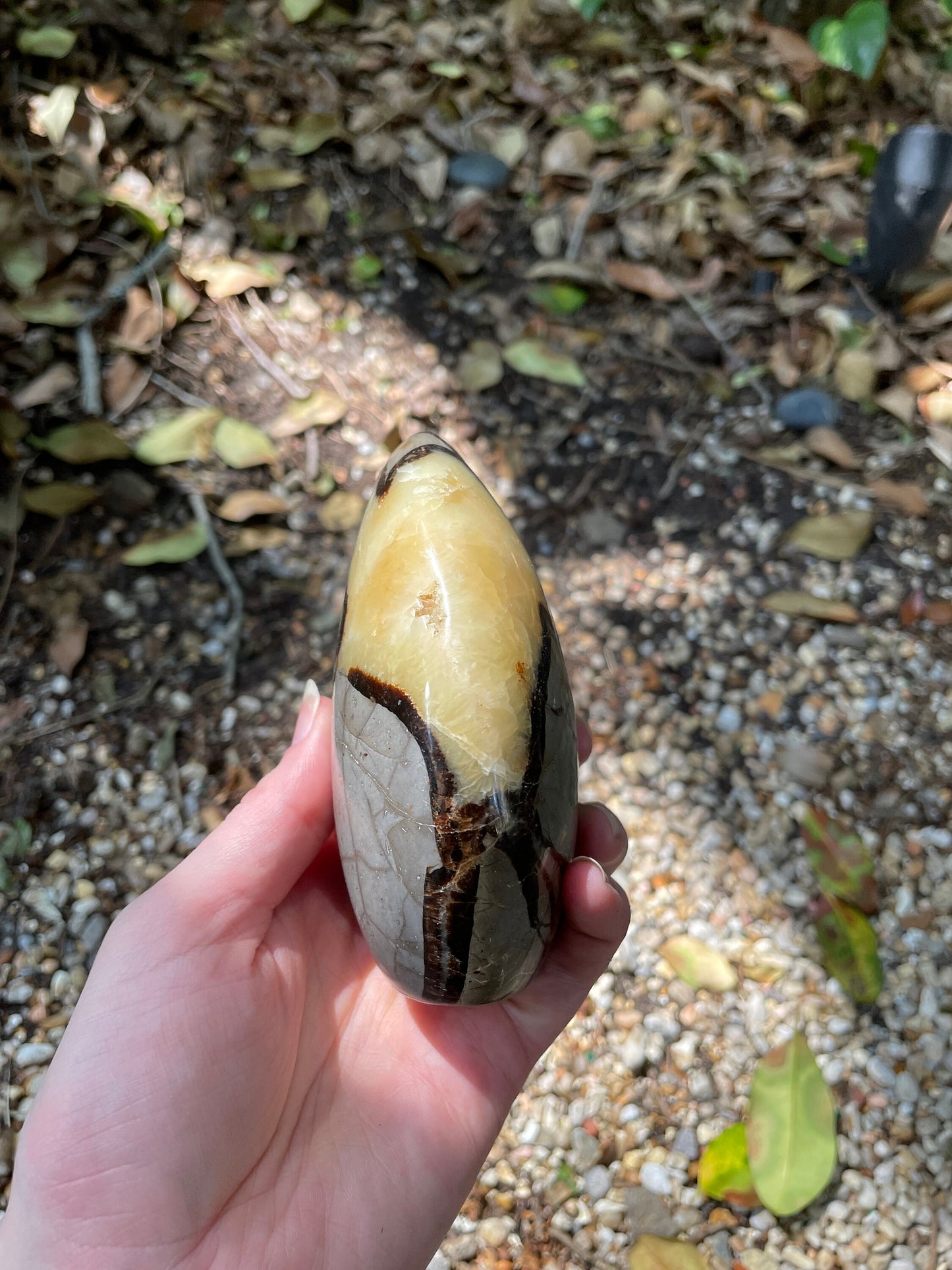 Polished Septarian Calcite Free Form Madagascar 665g Specimen Mineral Crystal