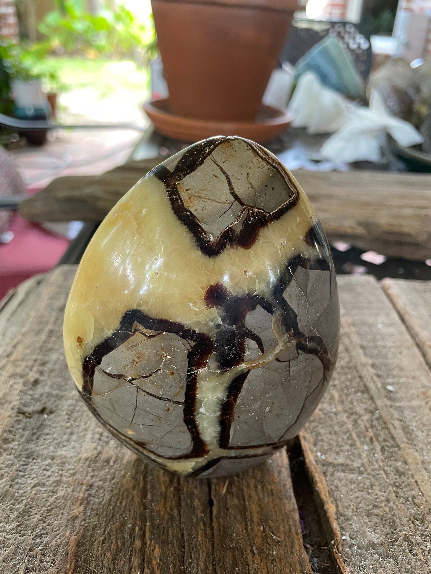 Polished Septarian Calcite Free Form Madagascar 665g Specimen Mineral Crystal