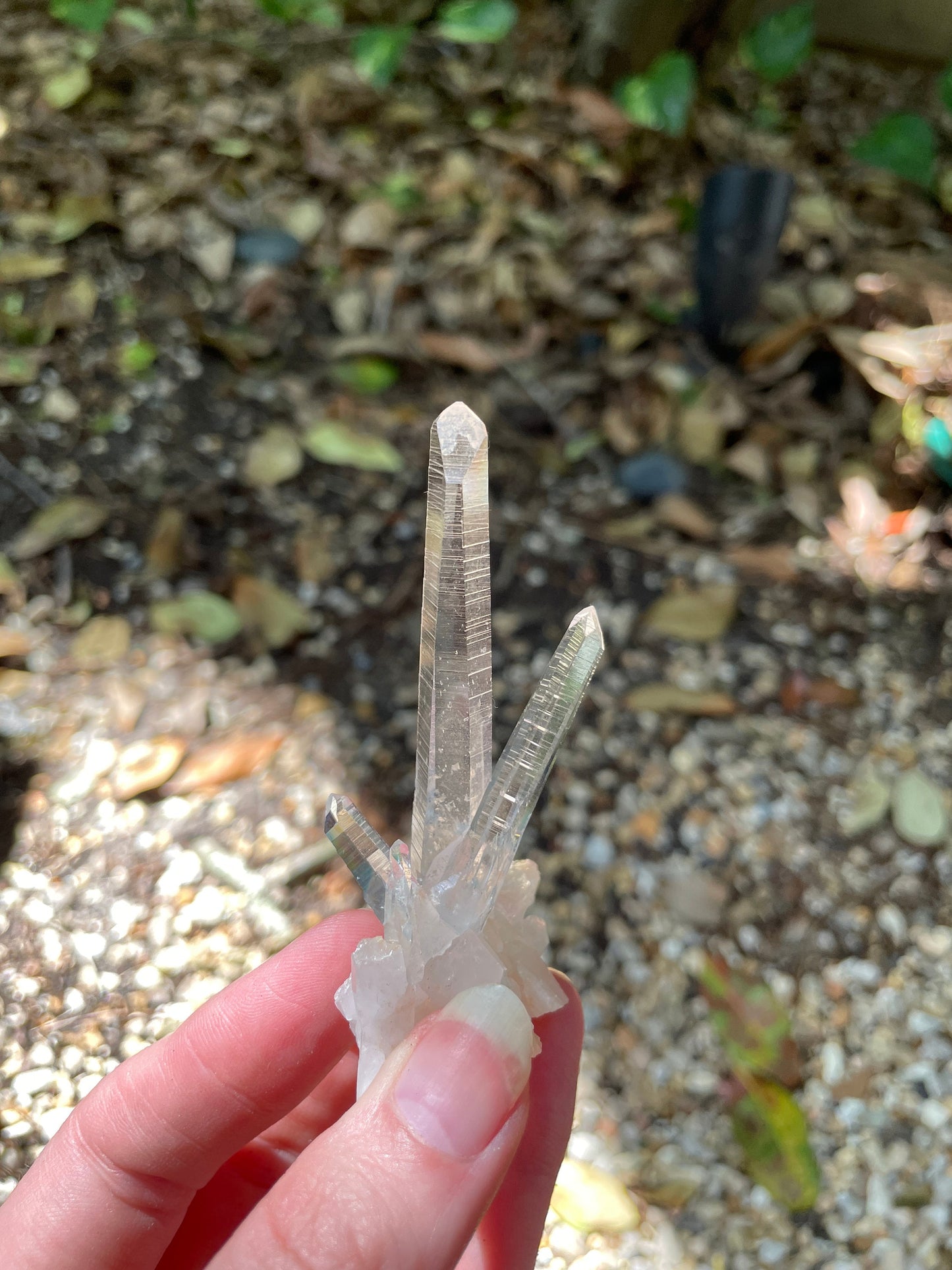 Columbian Lemurian Optical Quartz Cluster Specimen 27.1g Mineral Crystal