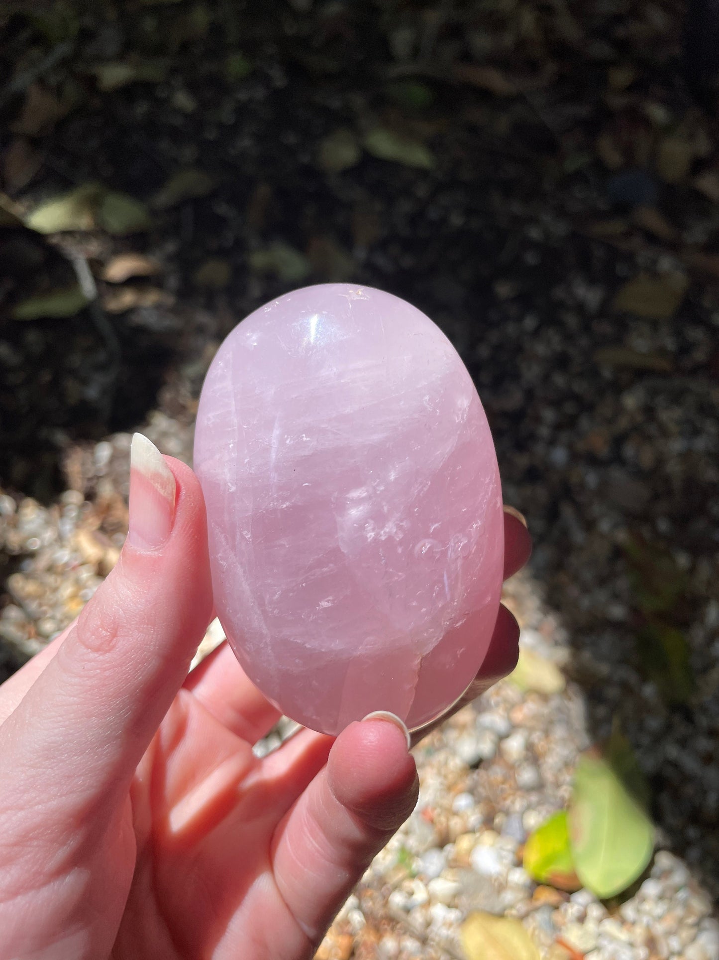 Polished Rose Quartz Palm Stone From Madagascar 168.1g Specimen Mineral Crystal