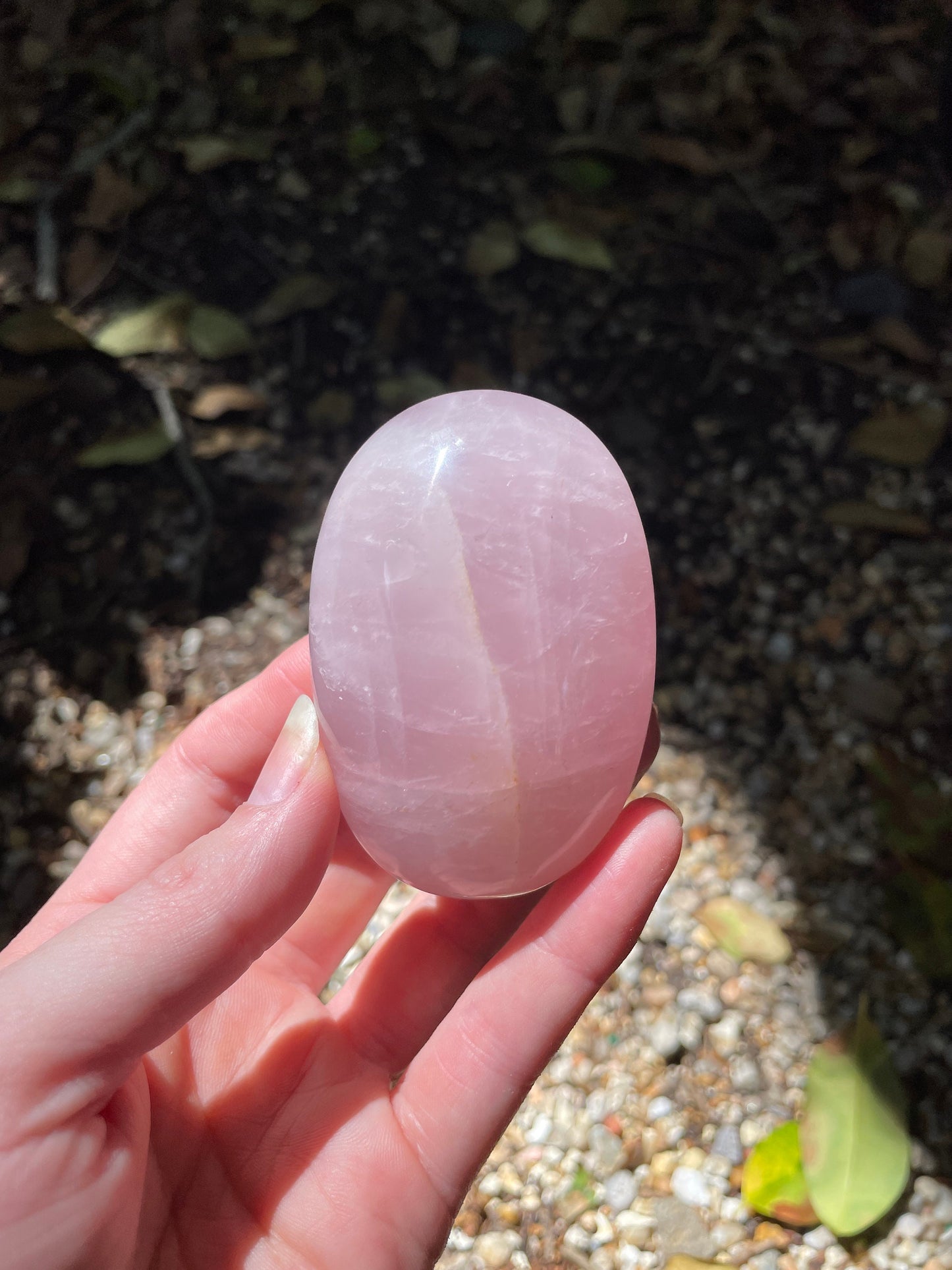 Polished Rose Quartz Palm Stone From Madagascar 168.1g Specimen Mineral Crystal