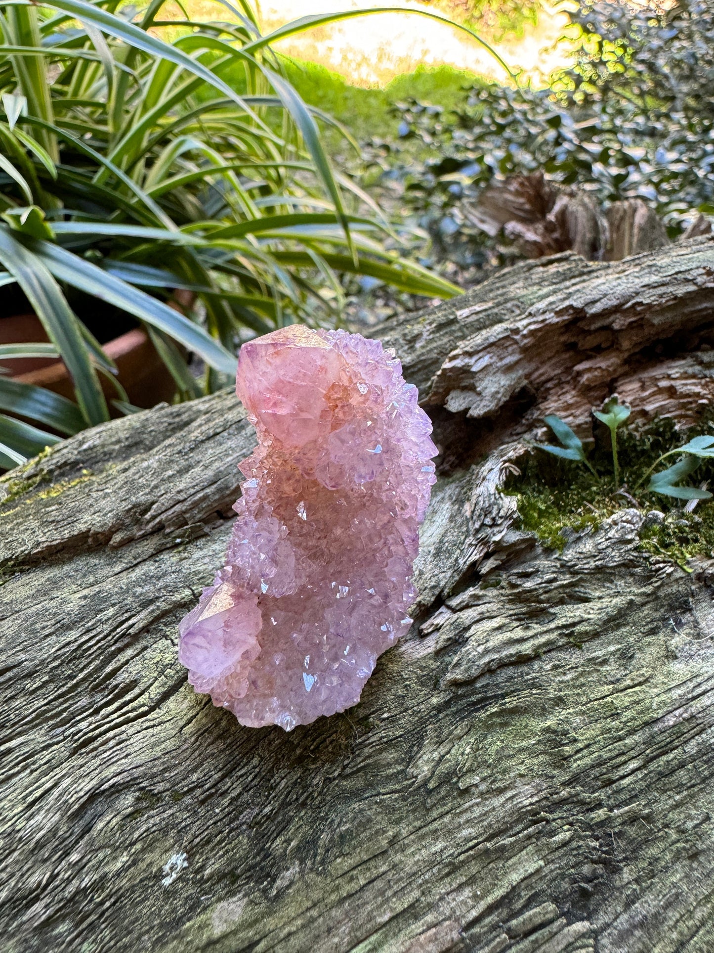 Amethyst Spirit Quartz Point cluster With Iron and Hematite Inclusions Specimen 52.8g From Mpumalanga South Africa