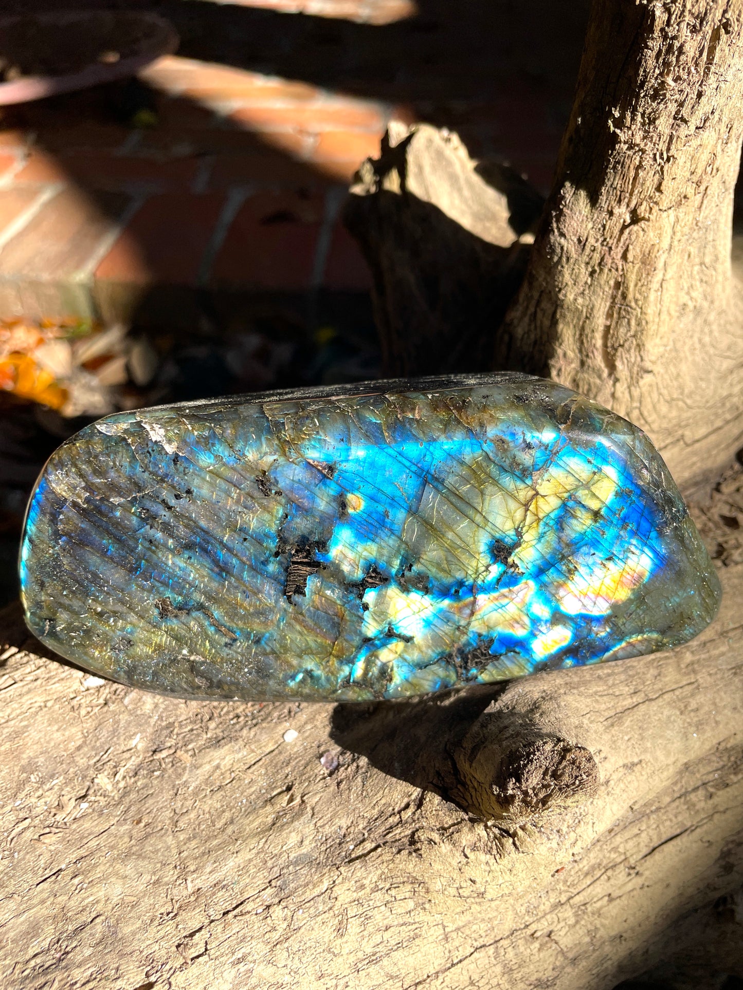 Polished Rainbow Labradorite Free Form 780g From Madagascar