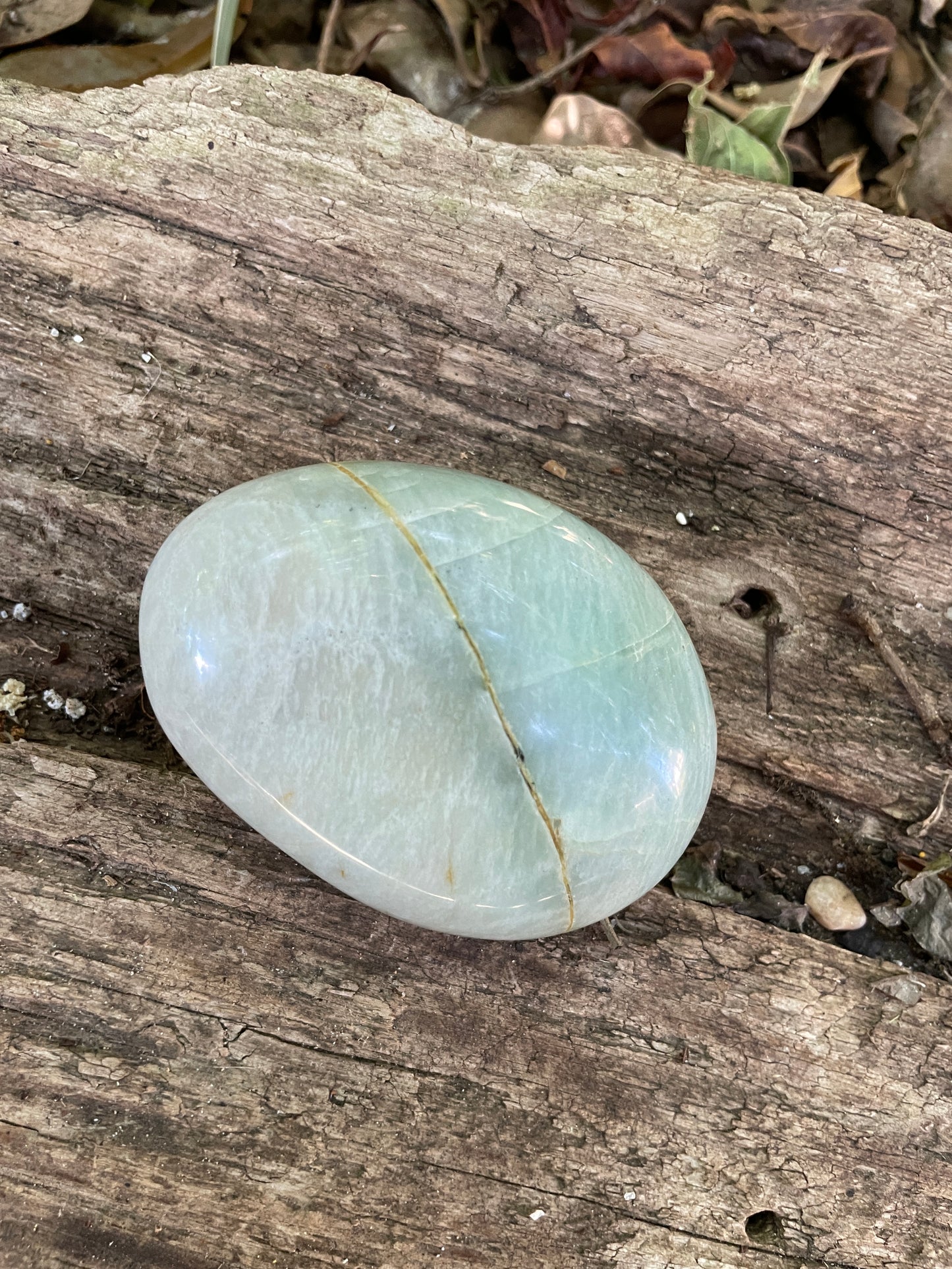 Polished  Green Garnierite Palm Stone 180.7g From Madagascar Specimen Mineral Crystal