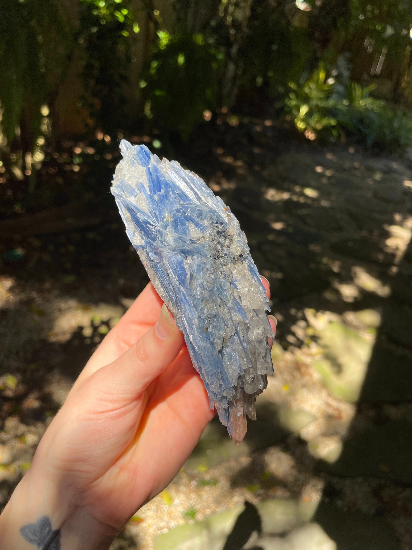 Blue Kyanite With Quartz Specimen 570g From Minas Gerais Brazil Specimen Mineral