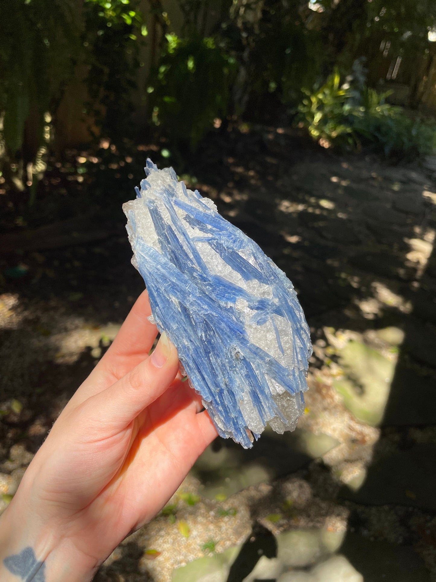 Blue Kyanite With Quartz Specimen 570g From Minas Gerais Brazil Specimen Mineral