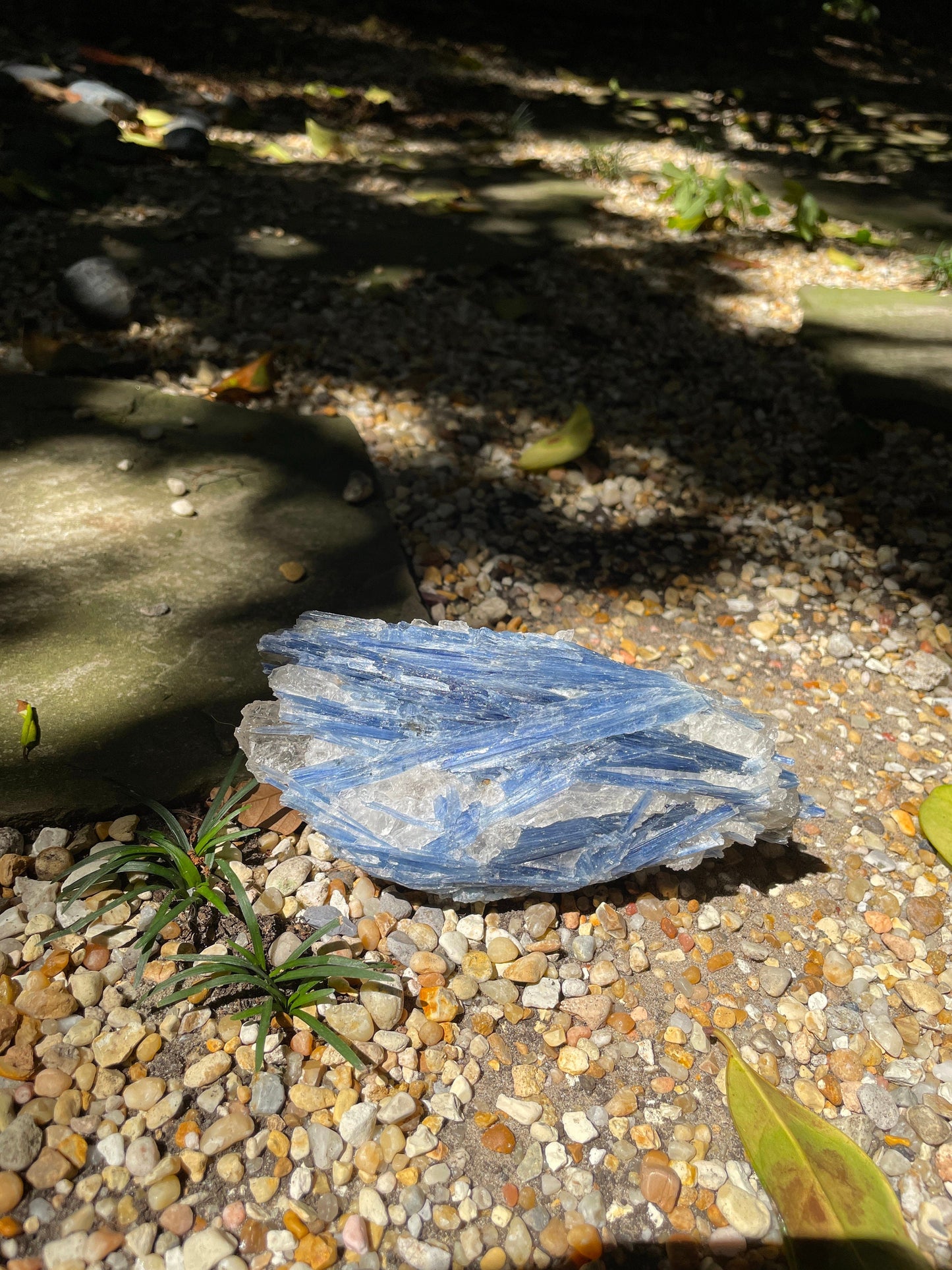 Blue Kyanite With Quartz Specimen 570g From Minas Gerais Brazil Specimen Mineral