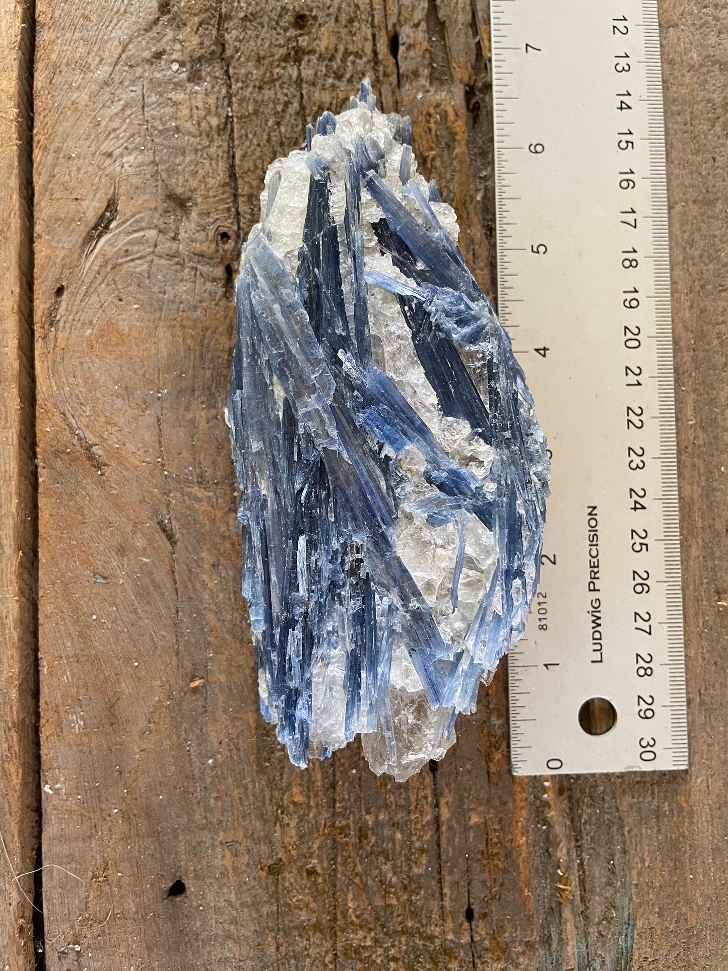 Blue Kyanite With Quartz Specimen 570g From Minas Gerais Brazil Specimen Mineral