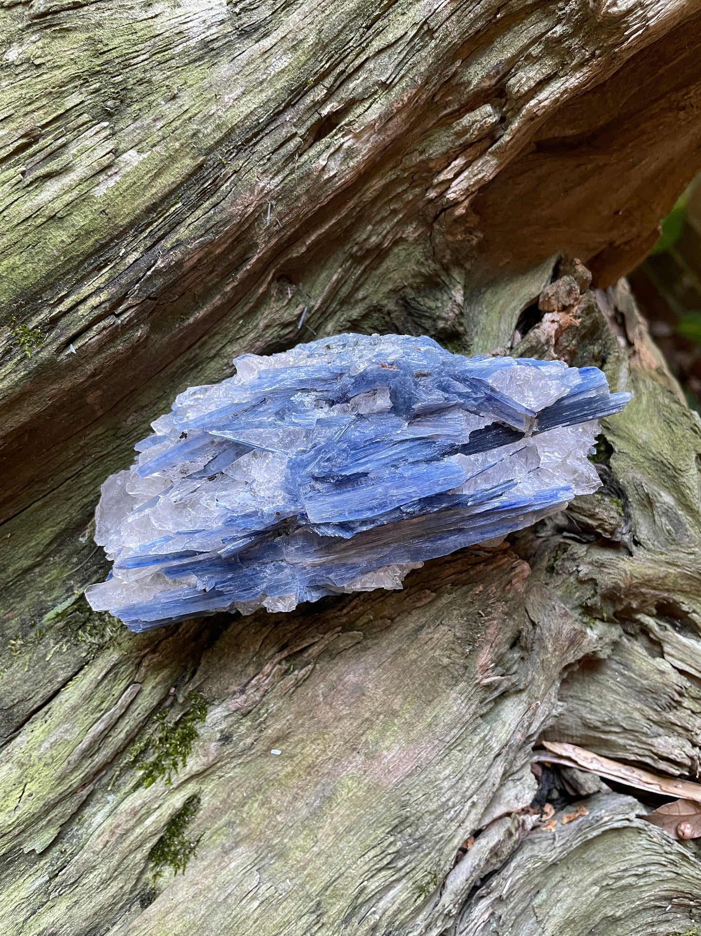 Blue Kyanite With Quartz Specimen 570g From Minas Gerais Brazil Specimen Mineral